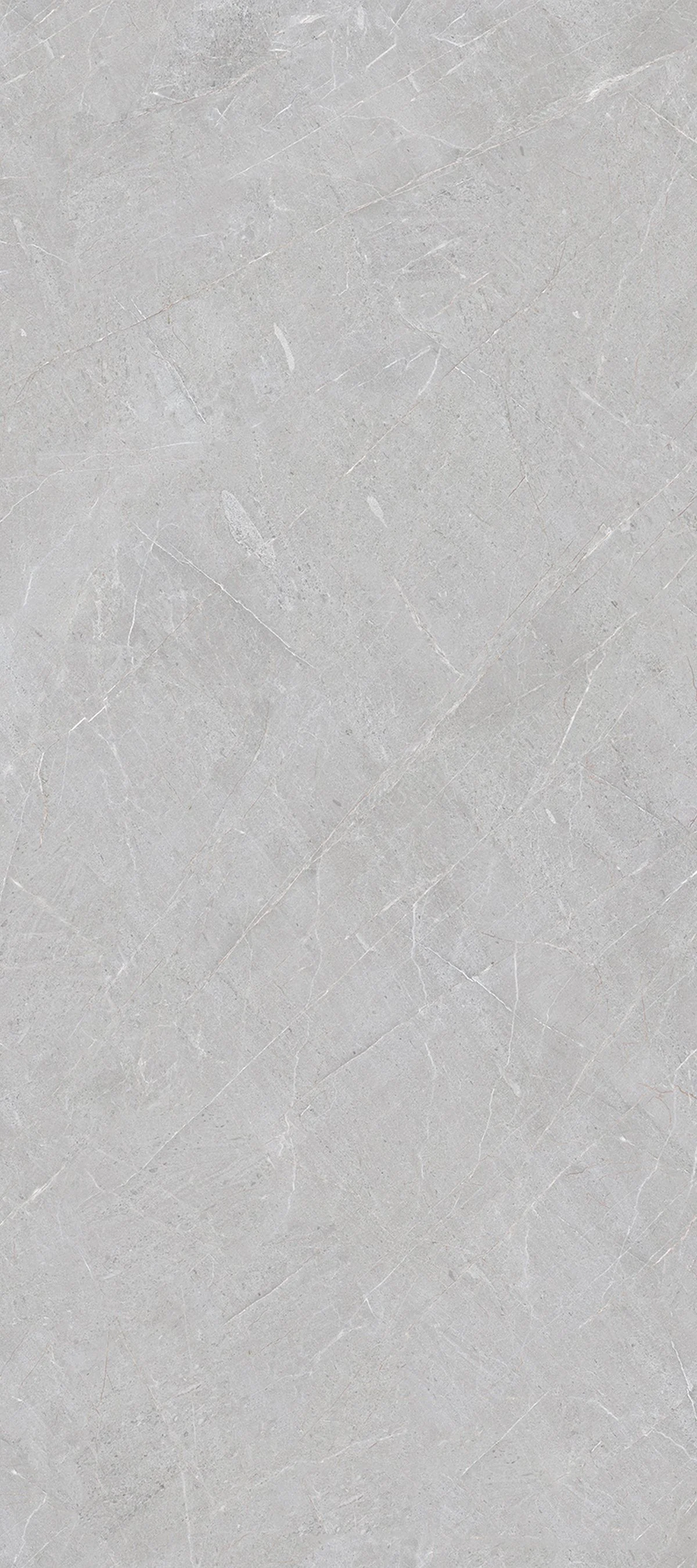 Pulpis Grey 4' x 9' Porcelain Slab | CIERO