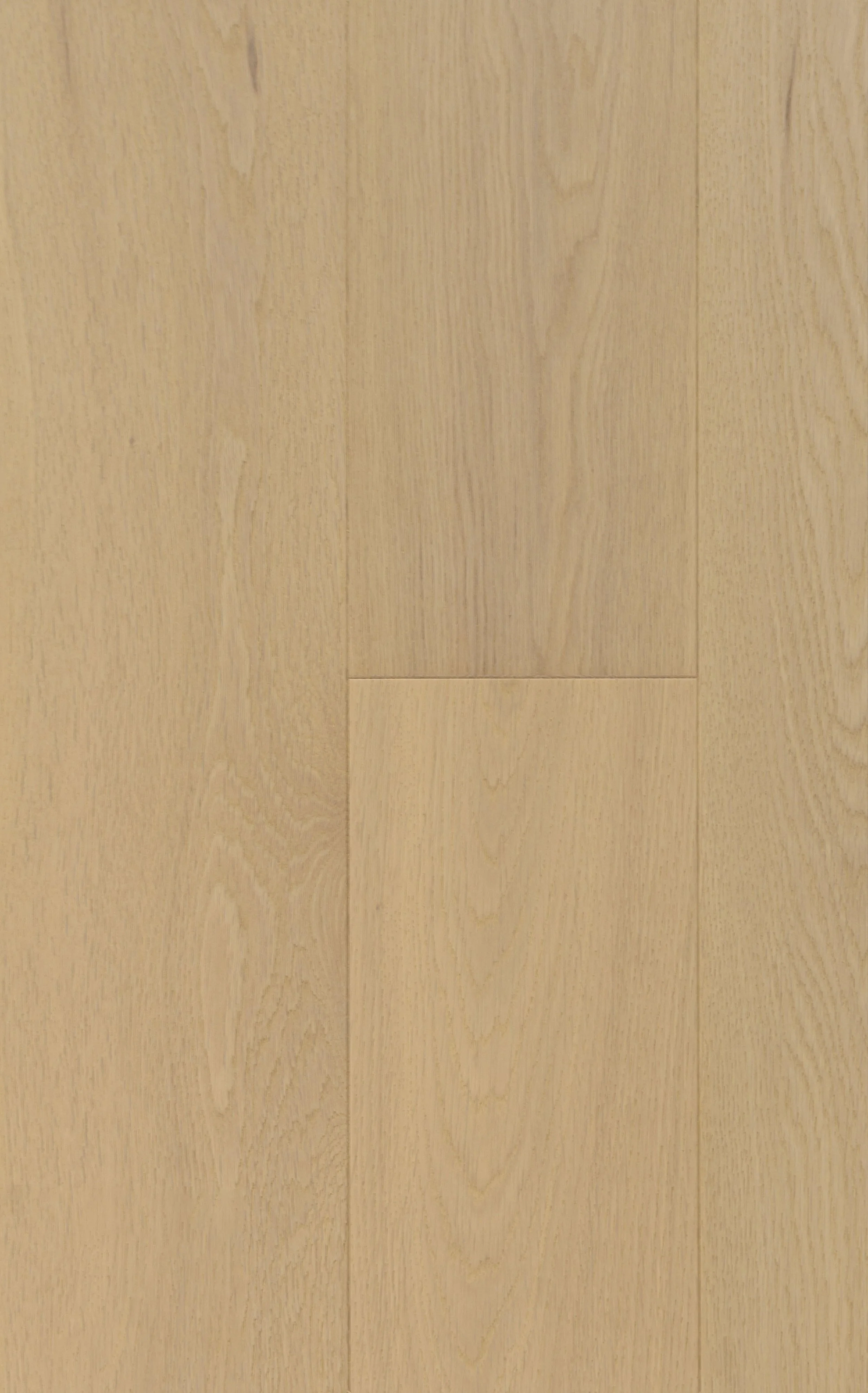 Sand Dune Engineered Hardwood | CIERO x FUZION