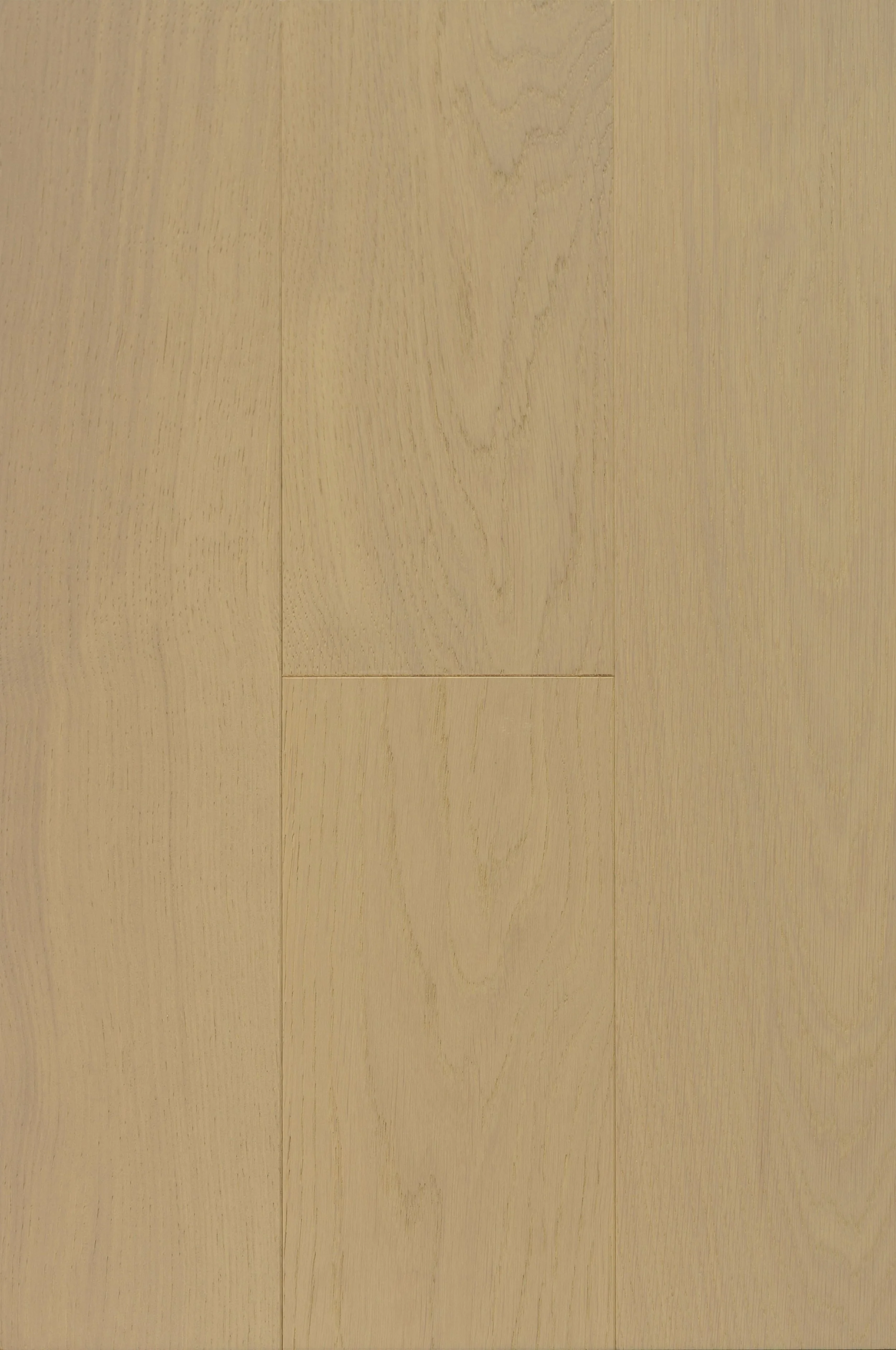 Teulon Engineered Hardwood | CIERO x VIDAR