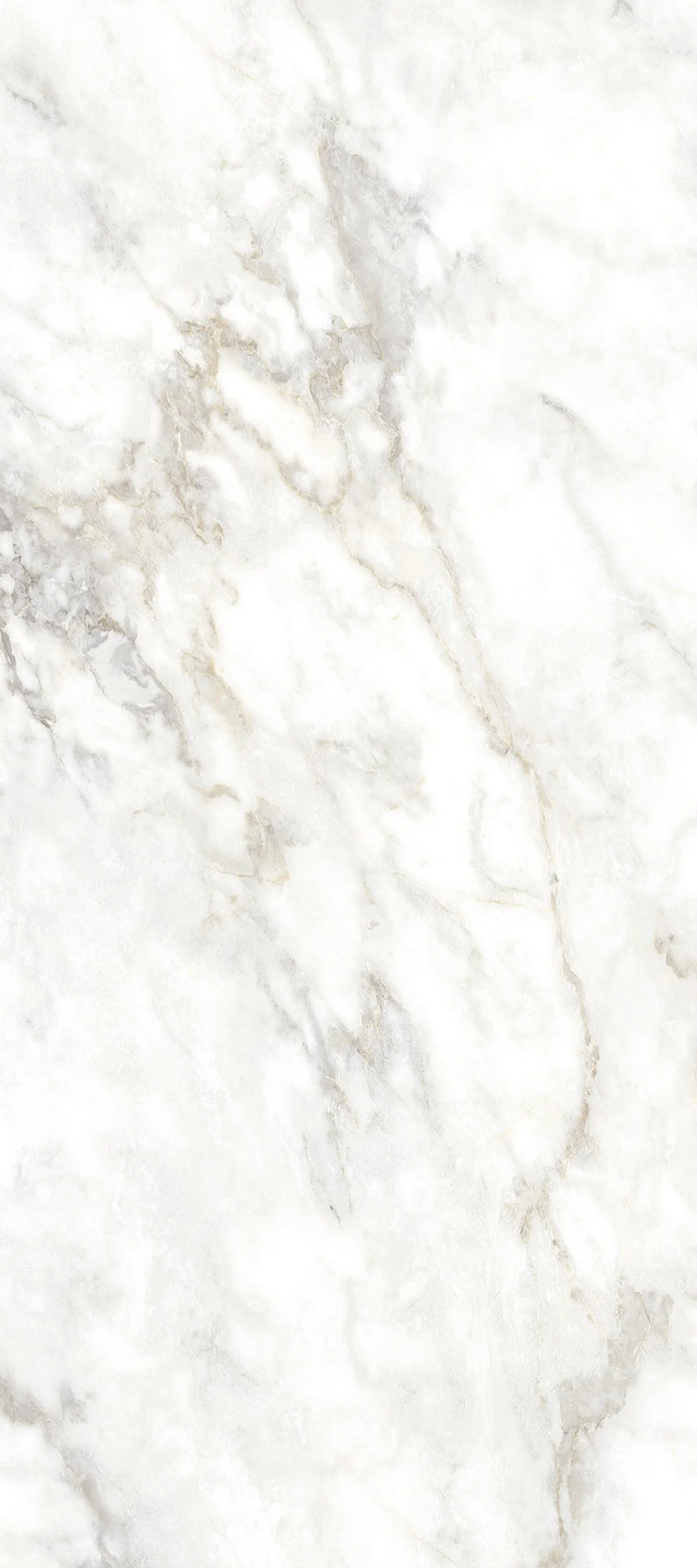 Vienna White 4' x 9' Porcelain Slab | CIERO