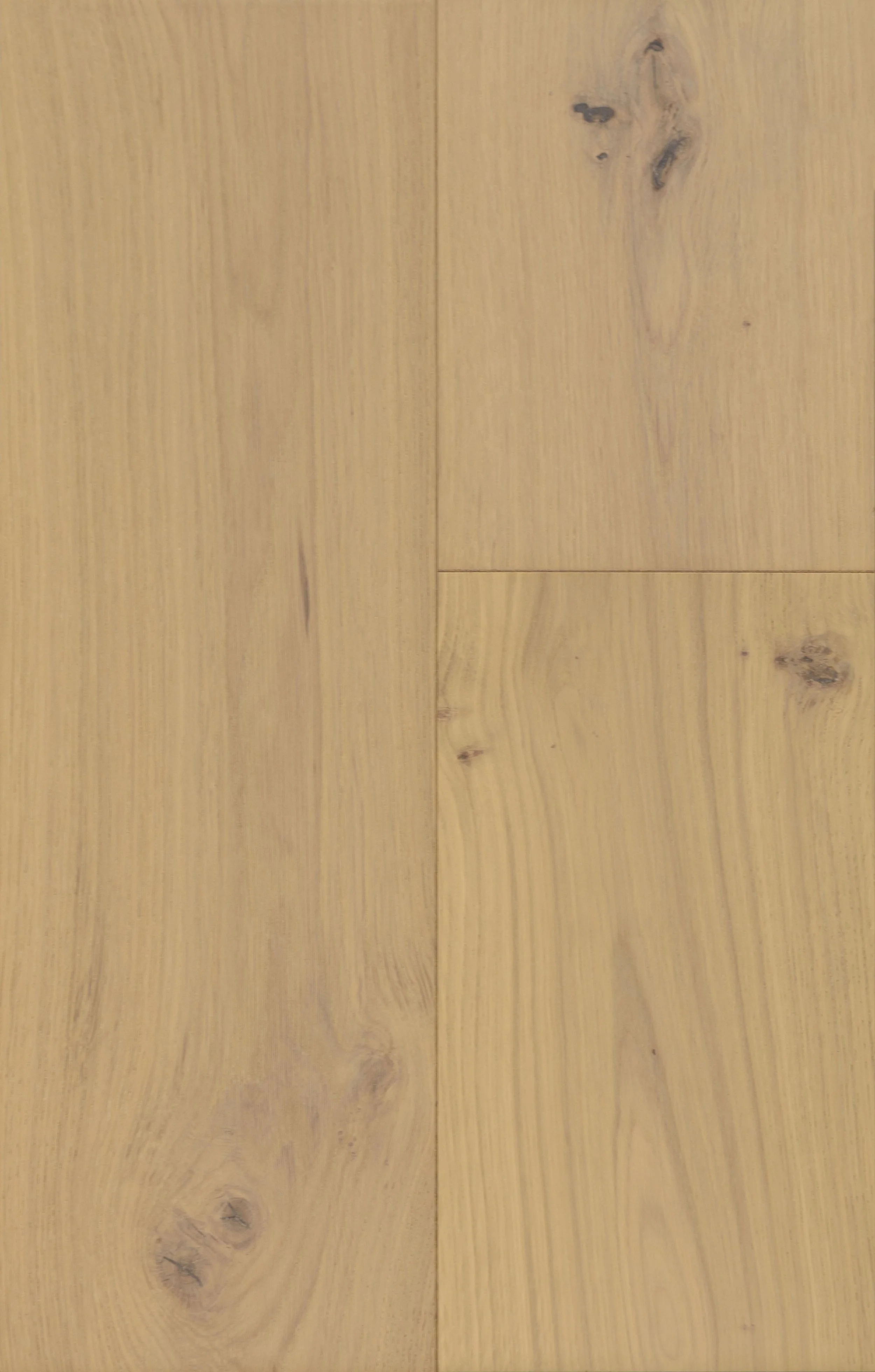 Aristo Ash Engineered Hardwood | CIERO x FUZION