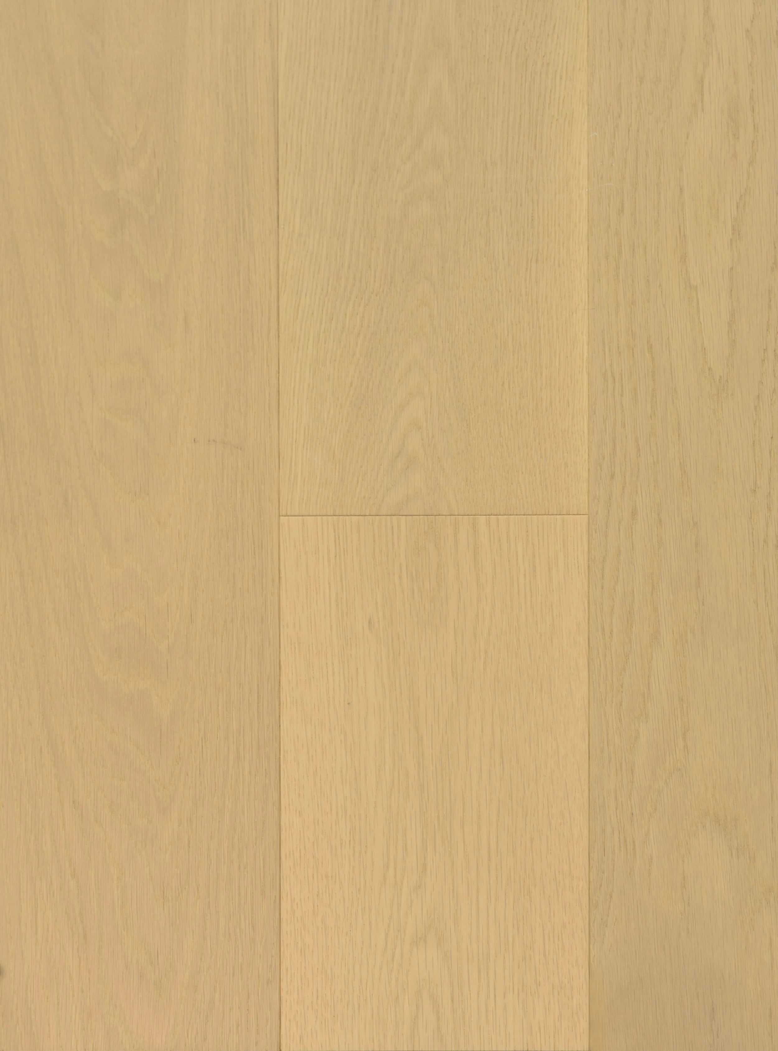 Moon Light Engineered Hardwood | CIERO x VIDAR
