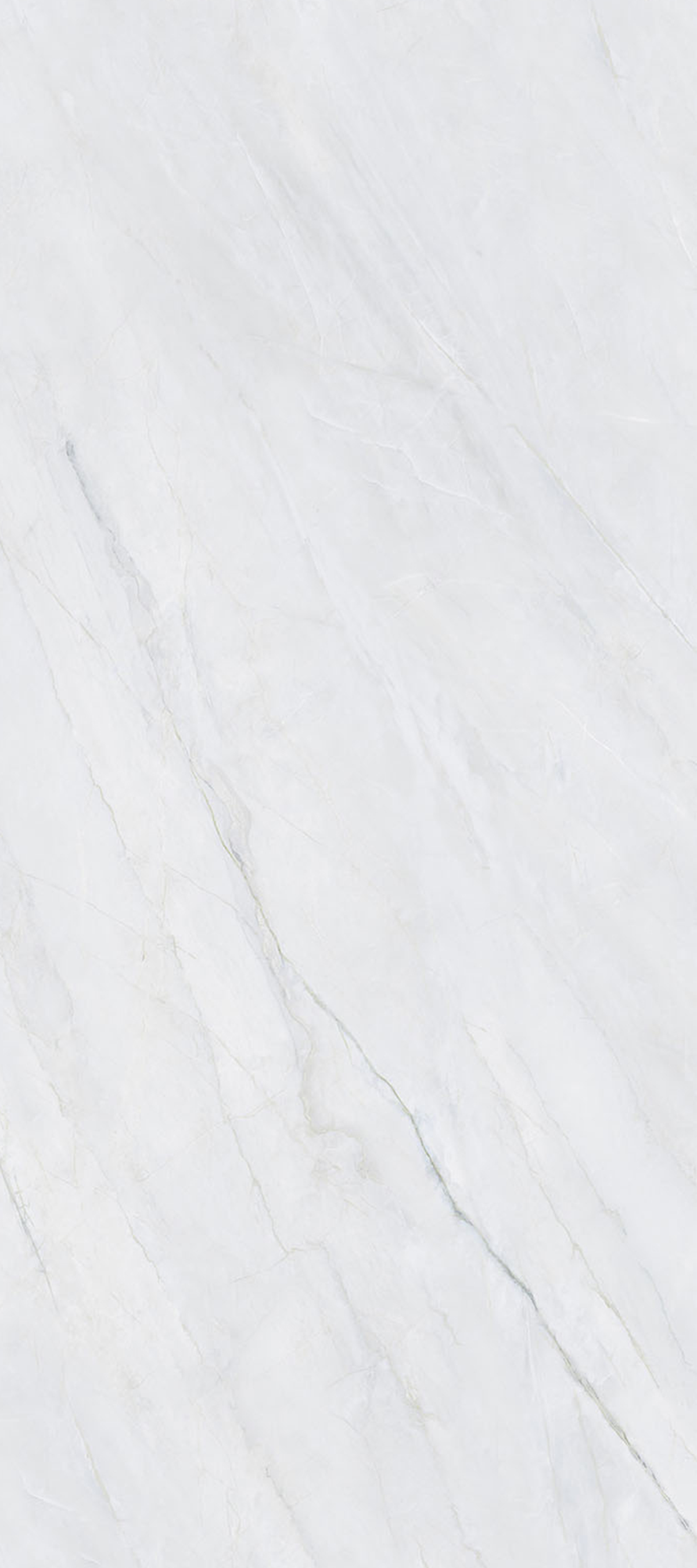 Ashen Slate 4' x 9' Porcelain Slab | CIERO