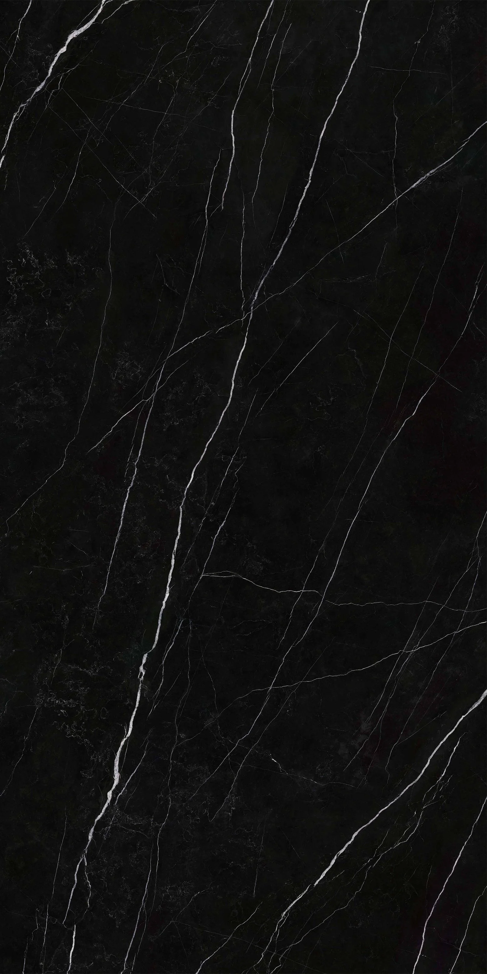Nero Marquina 5' x 10' Porcelain Slab | CIERO