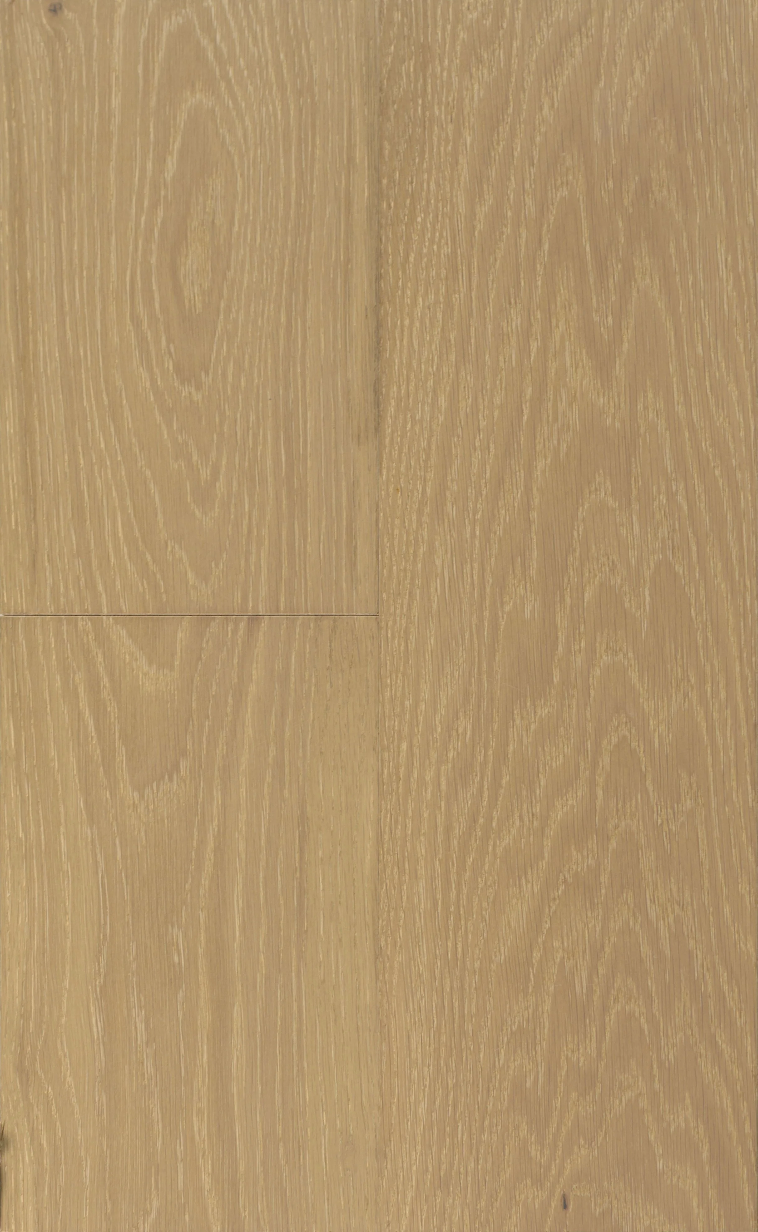 Morrisville Engineered Hardwood | CIERO x PURELUX