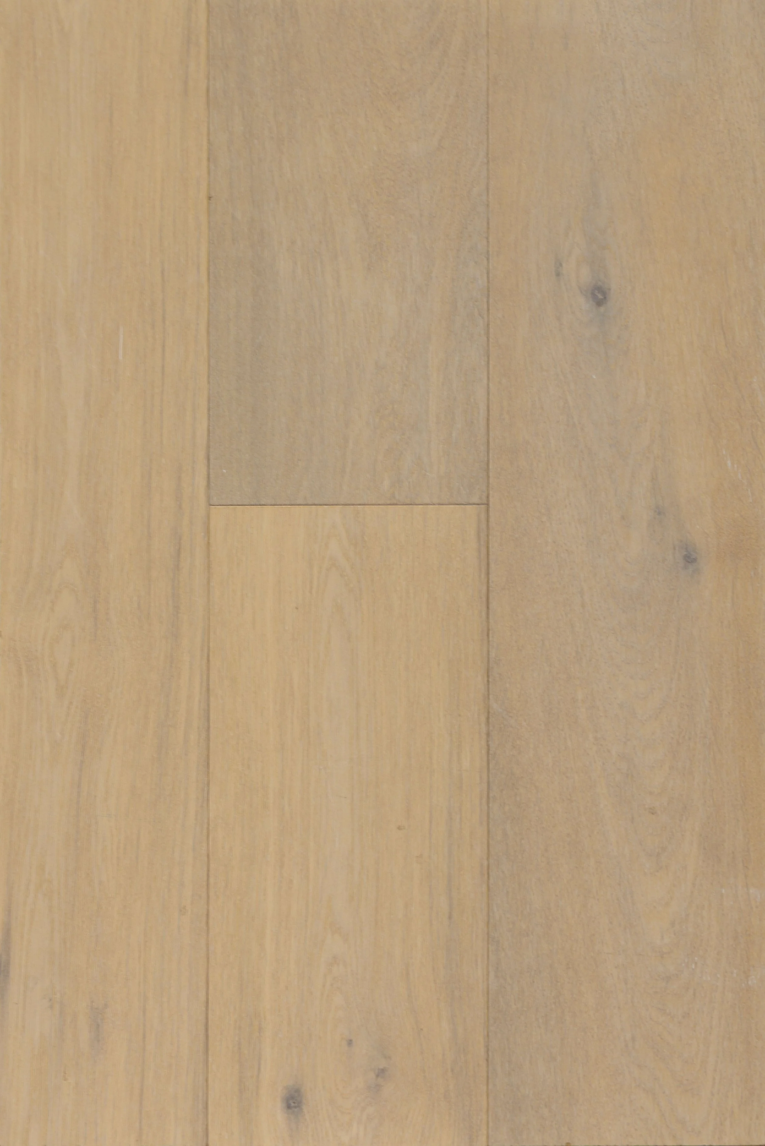 April Snow Engineered Hardwood | CIERO x FUZION