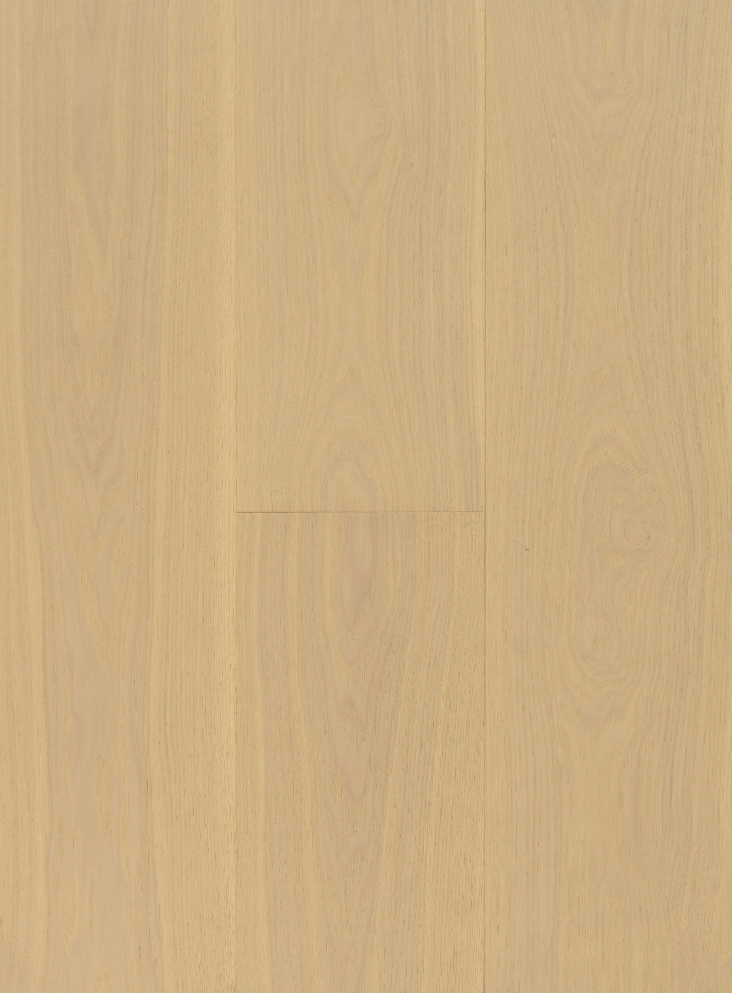 Coconut Cream Engineered Hardwood | CIERO x VIDAR