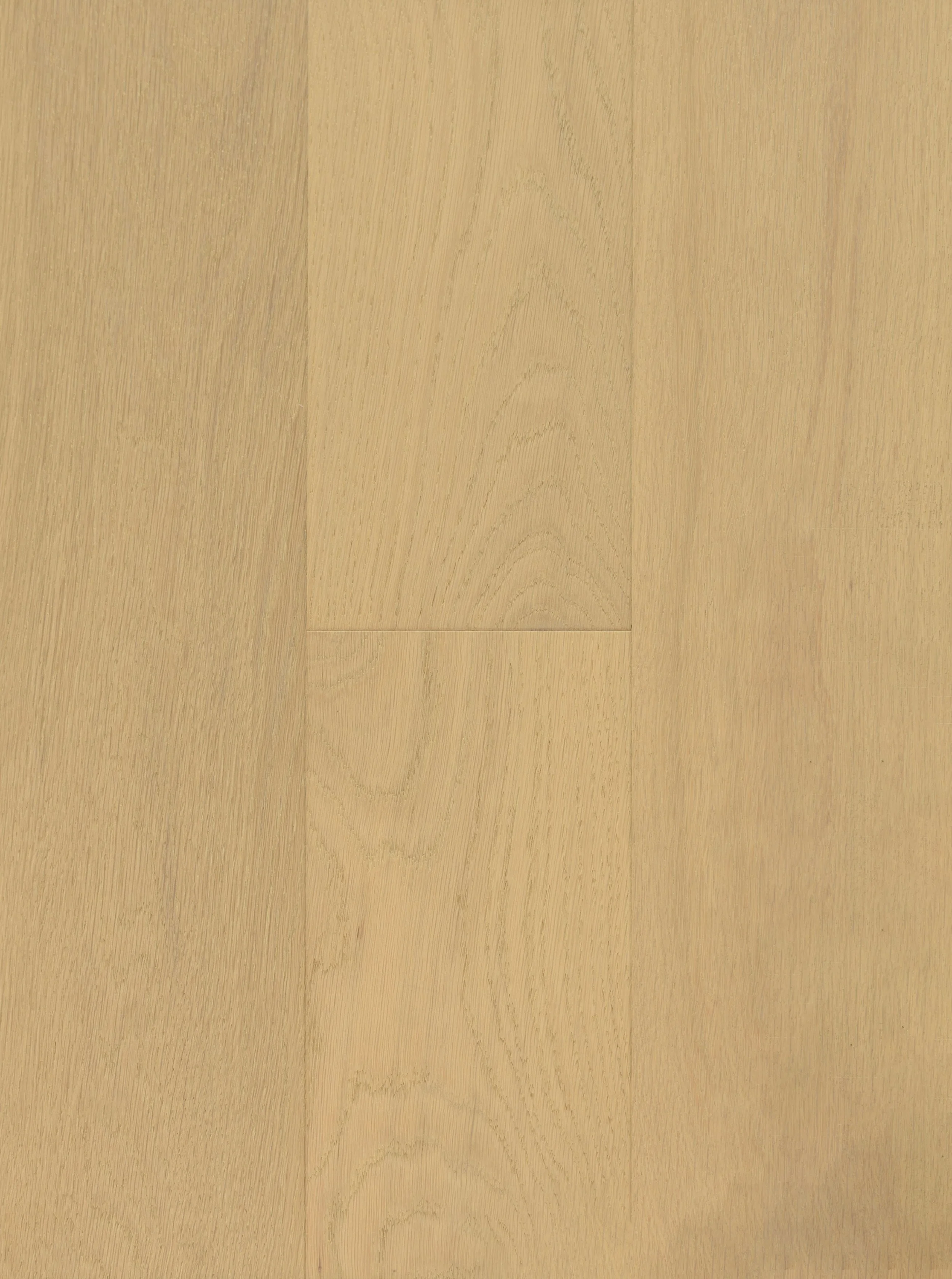Eggshell Engineered Hardwood | CIERO x VIDAR