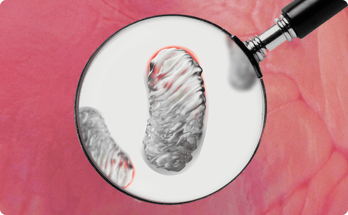 Homepage + Science Page Refresh