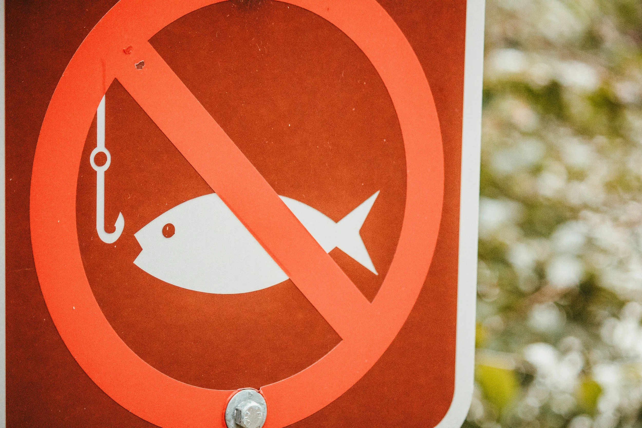 What a 'fish' asked AI—and got LinkedIn users talking