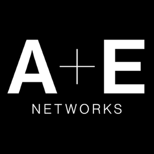 AE_networks400.png
