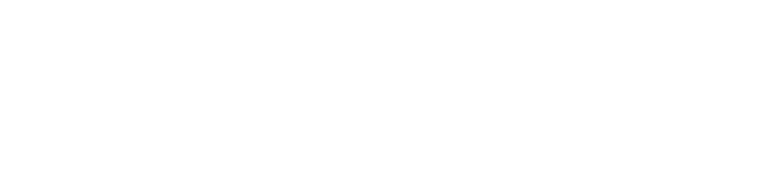 Neighborhood Evolution LLC