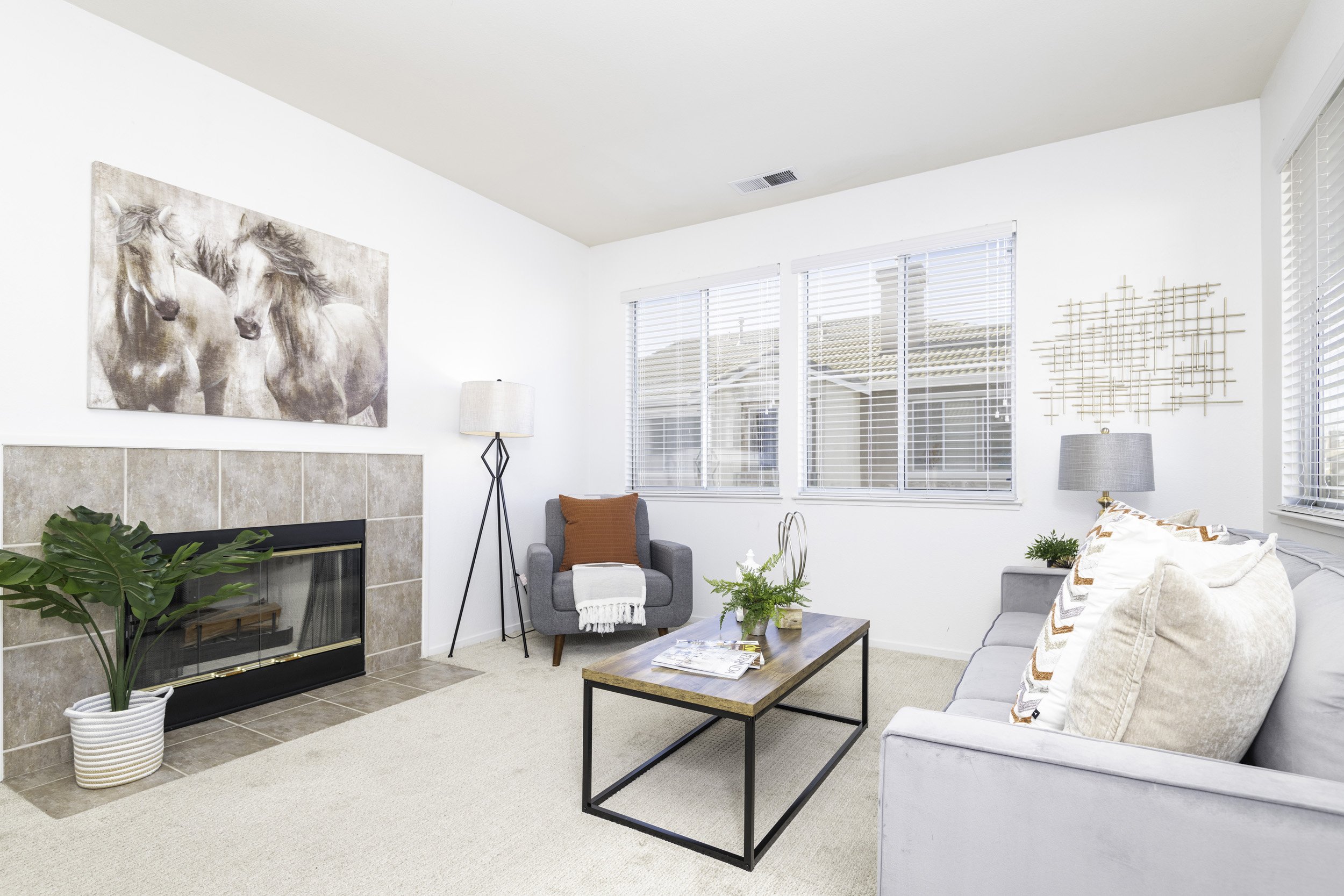 Livingroom 2 .jpg