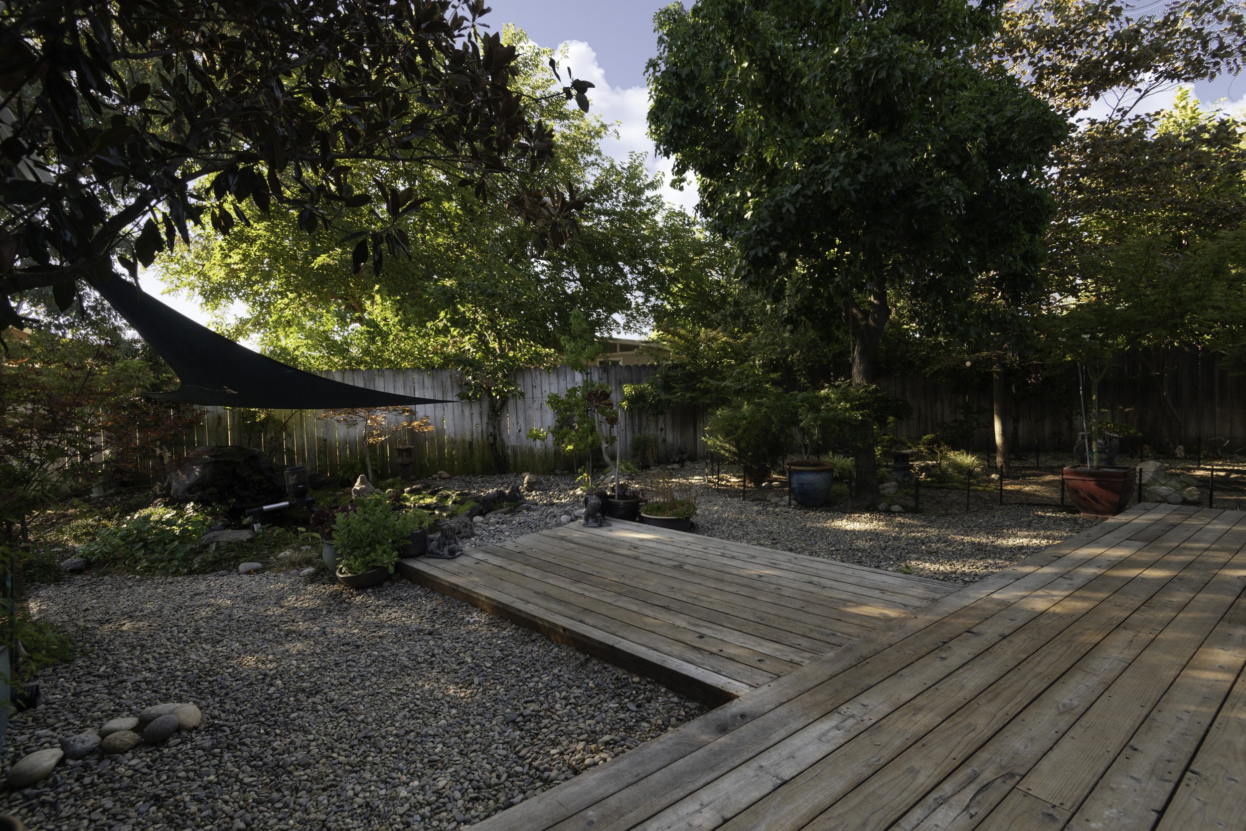 Pond View.jpg