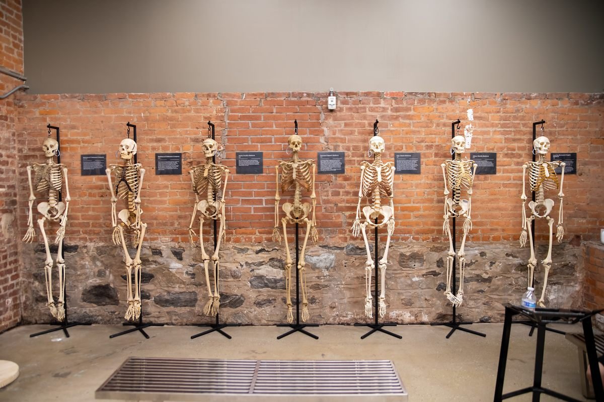 bonemuseum_03.jpg