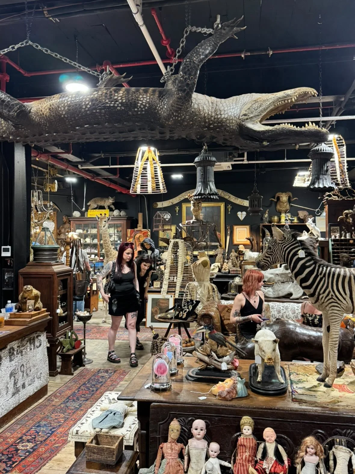 Oddities Flea Market: Connecticut Halloween 2026