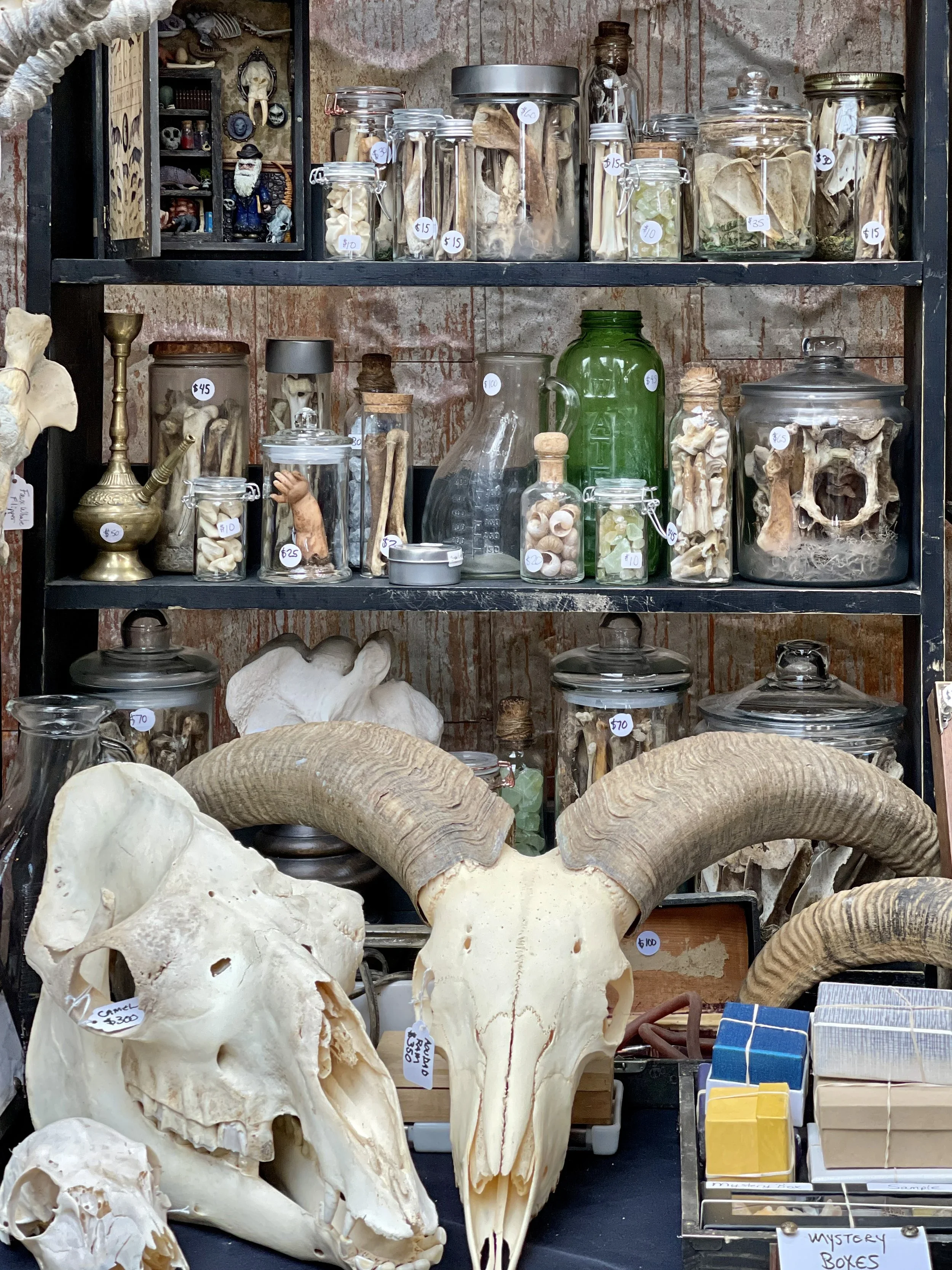 odditiesfleamarketheader.webp