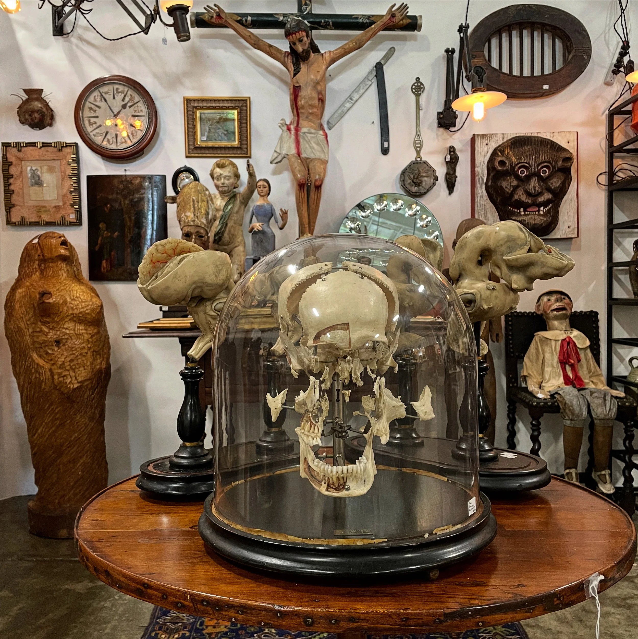 The Oddities Flea Market: New York 2026