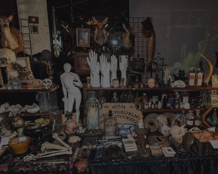 The Oddities Flea Market