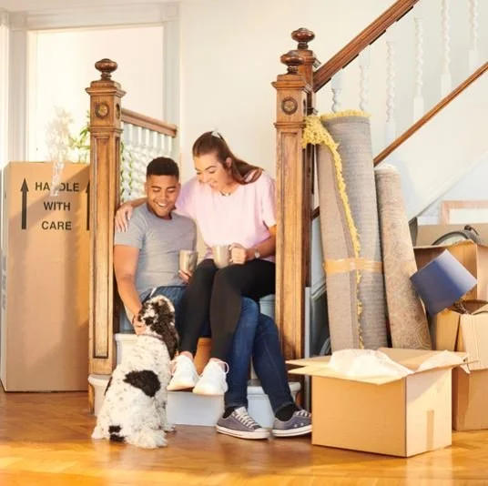 Tips for Moving With Your Pets
