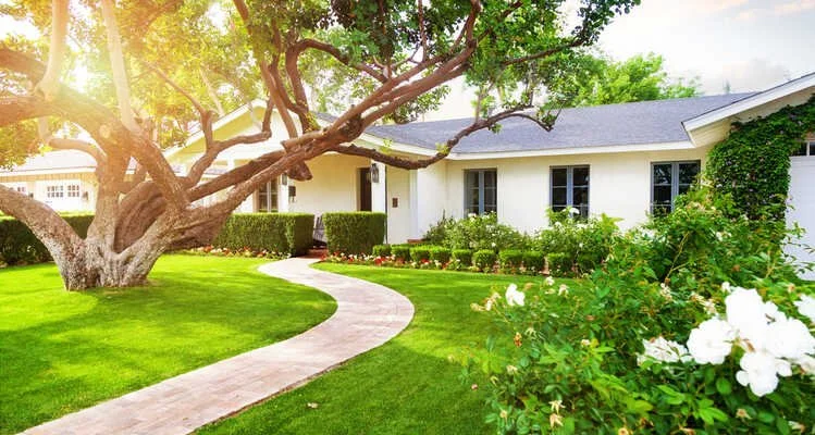 Mahncke Park Neighborhood Guide in San Antonio