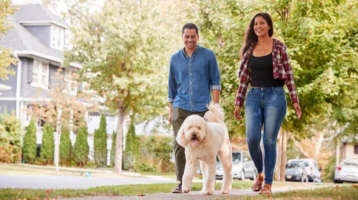 Universal City Neighborhood Guide
