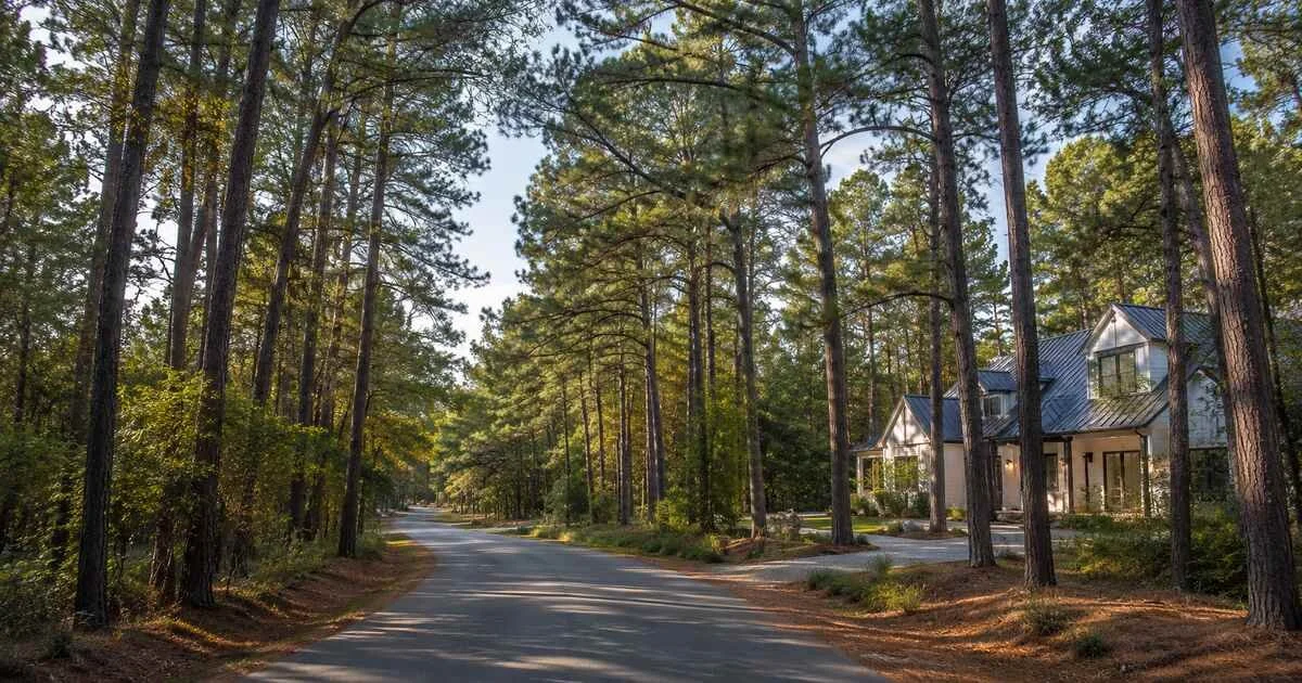 Tahitian Village in Bastrop, TX: 2026 Neighborhood Guide