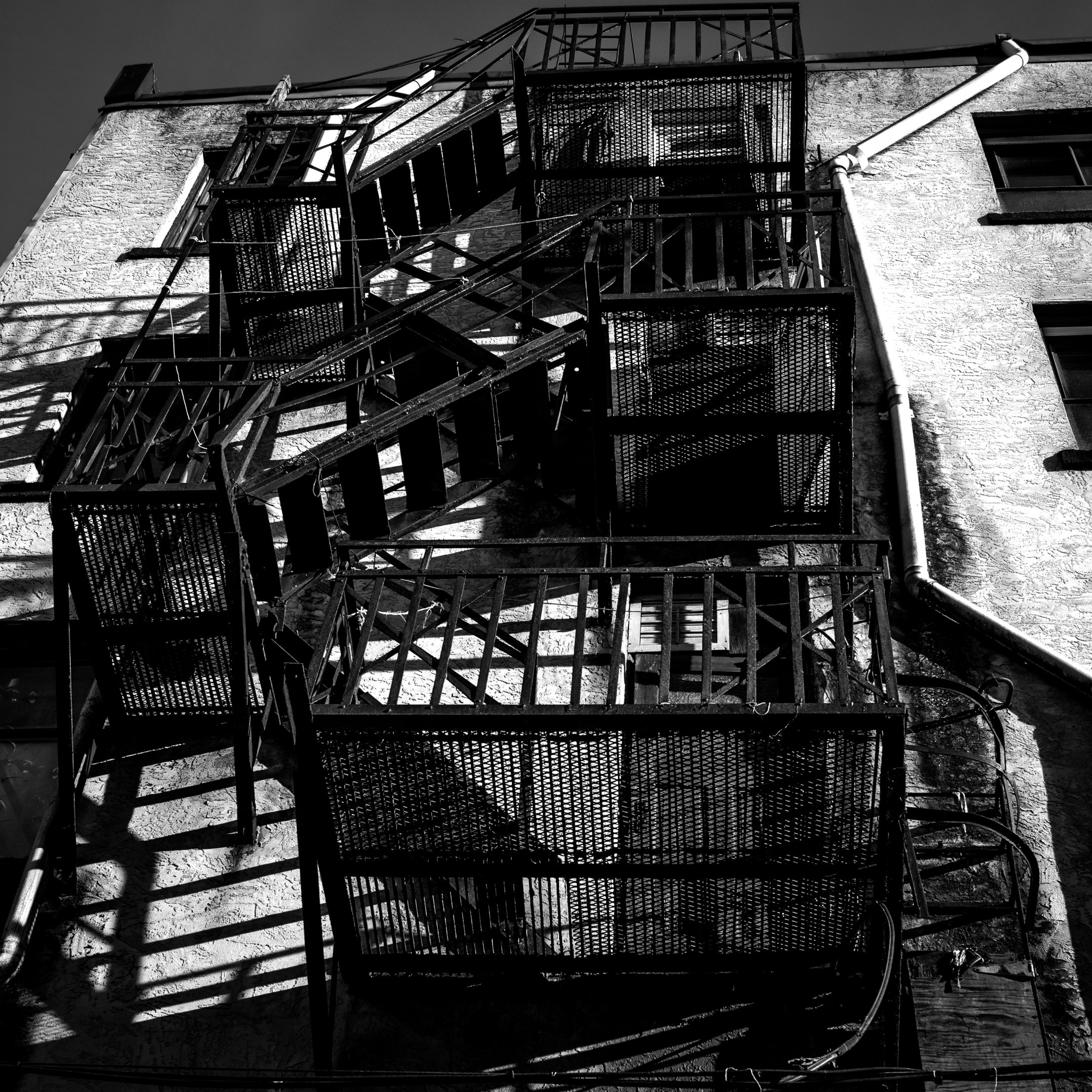 Alley-Illustration-Inspiration-3.jpg