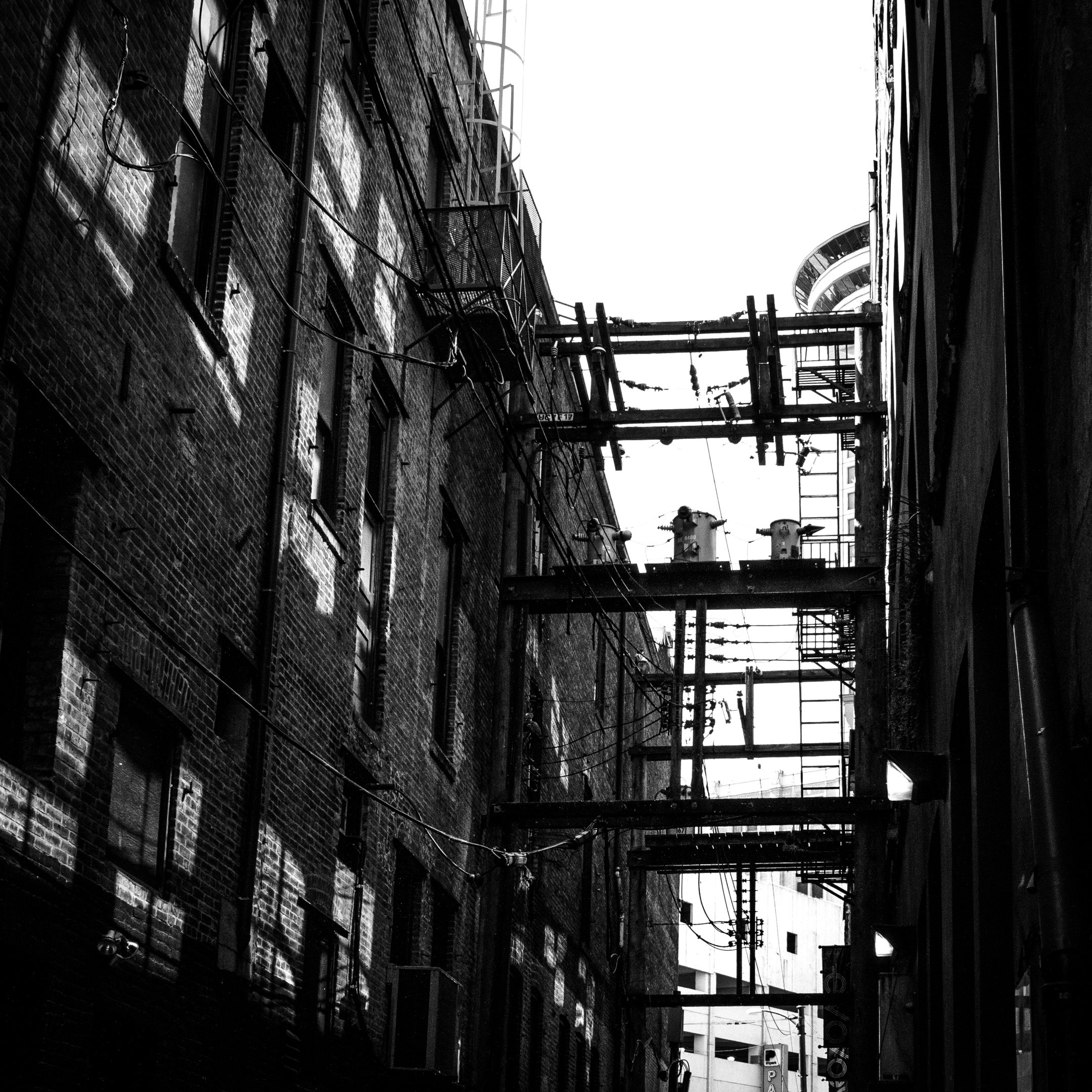 Alley-Illustration-Inspiration-4.jpg