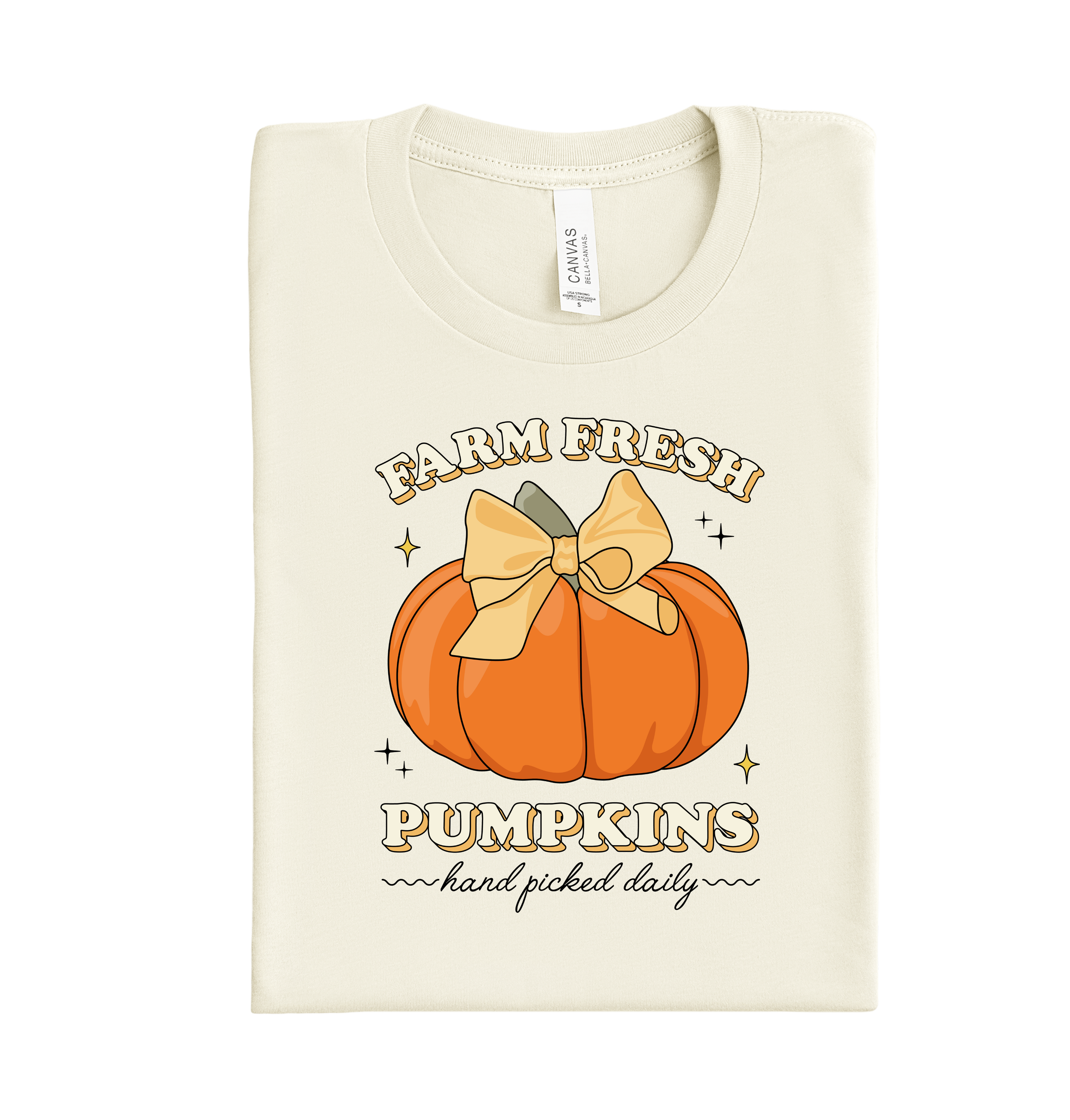 Farm Fresh Pumpkins DTF transfer with orange pumpkin design, custom fall heat transfer ready to press for shirts, sweaters, and autumn apparel.