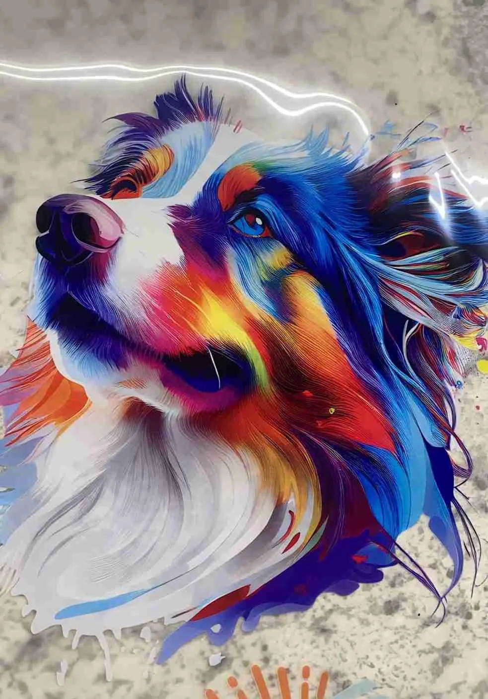 Colorful illustration of a dog's face, with flowing fur in shades of blue, purple, red, orange, yellow, and white, set against a neutral background.