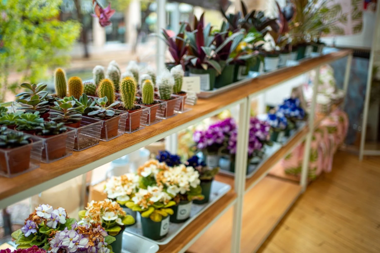 Plant Lab 02.jpg