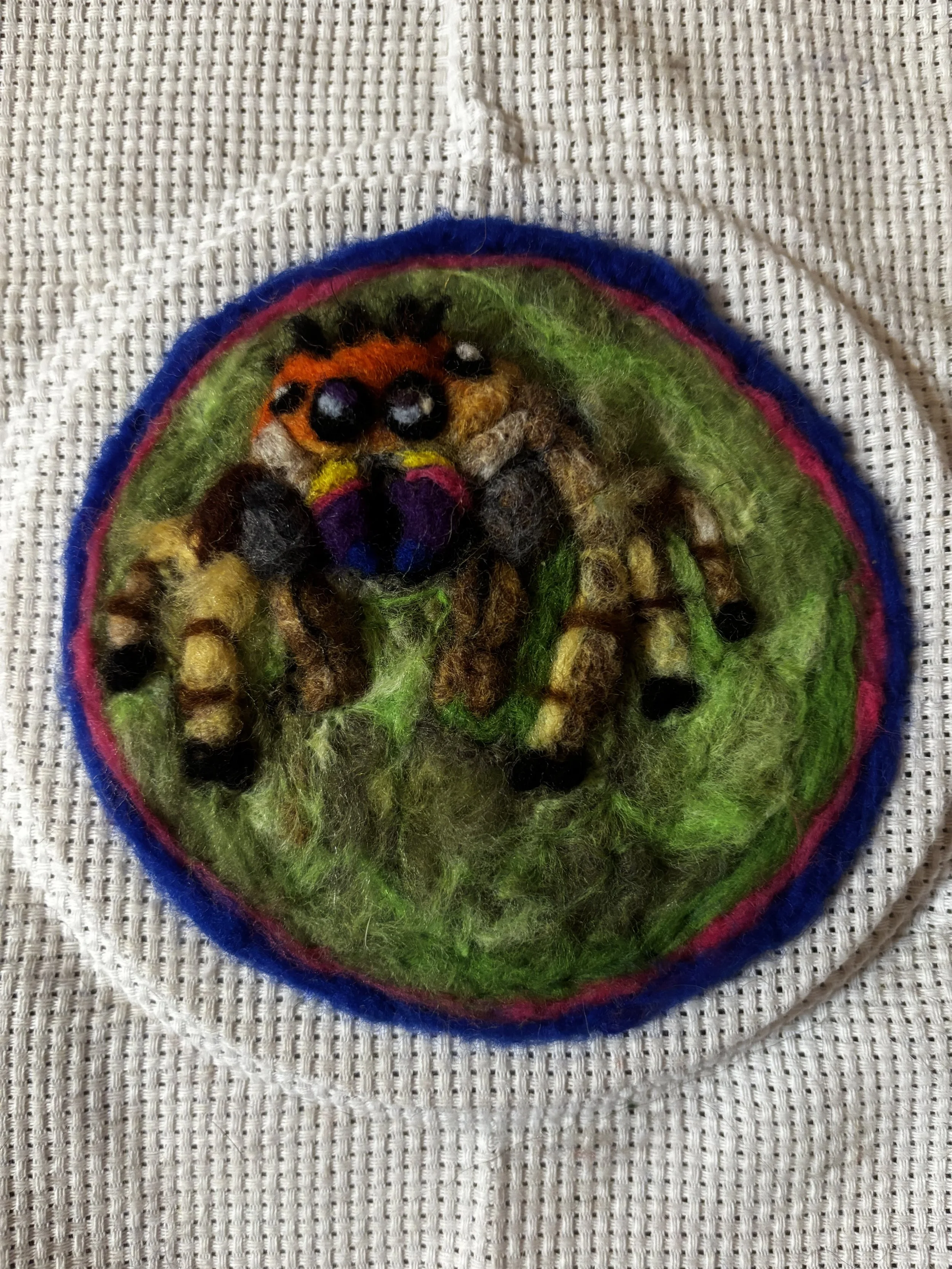 spiderbeans6.jpeg