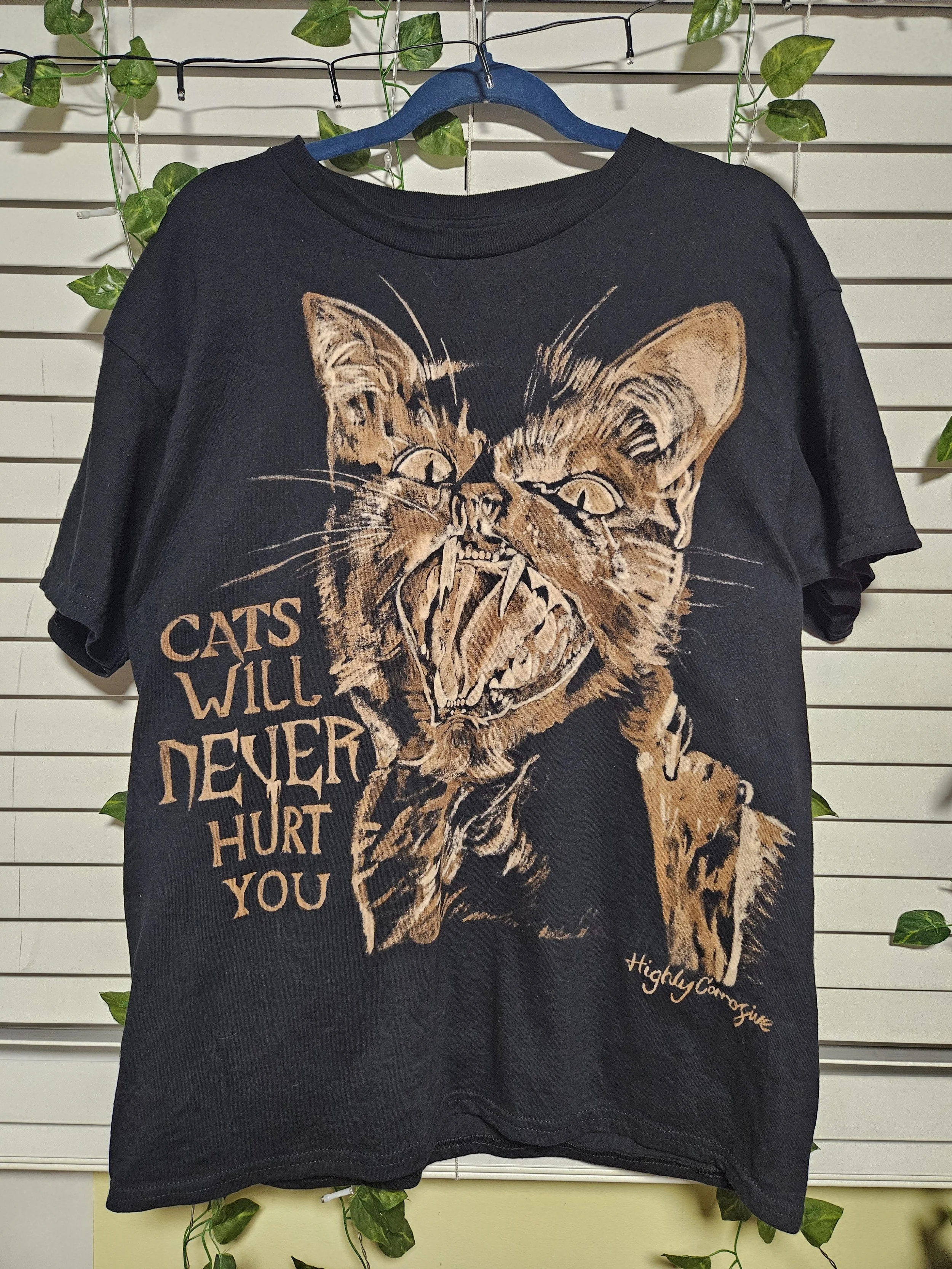 HIGHLY CORROSIVE5.jpg