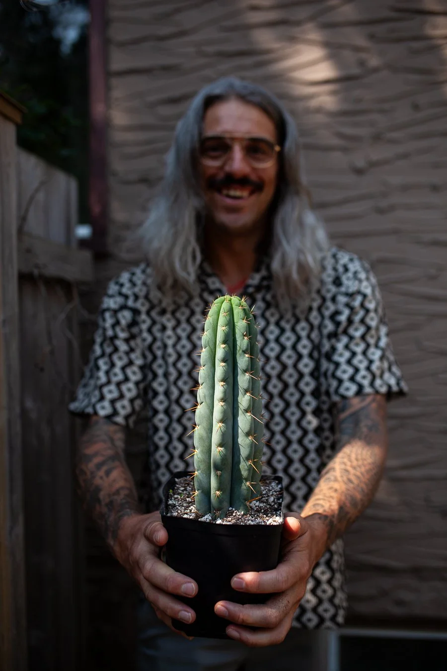 ATOM_ALKALOID_1.jpg