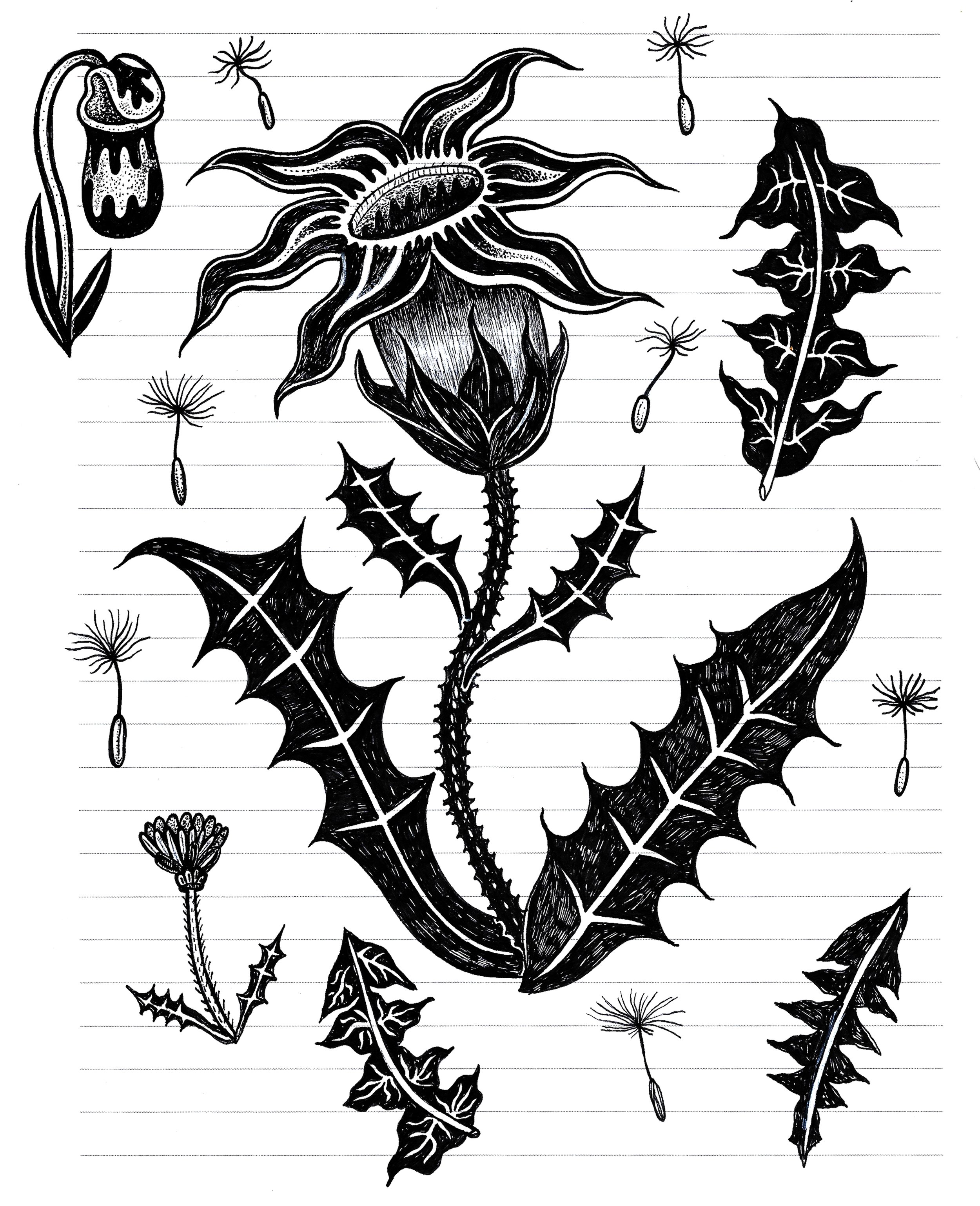 2026 pitcherlion.jpeg