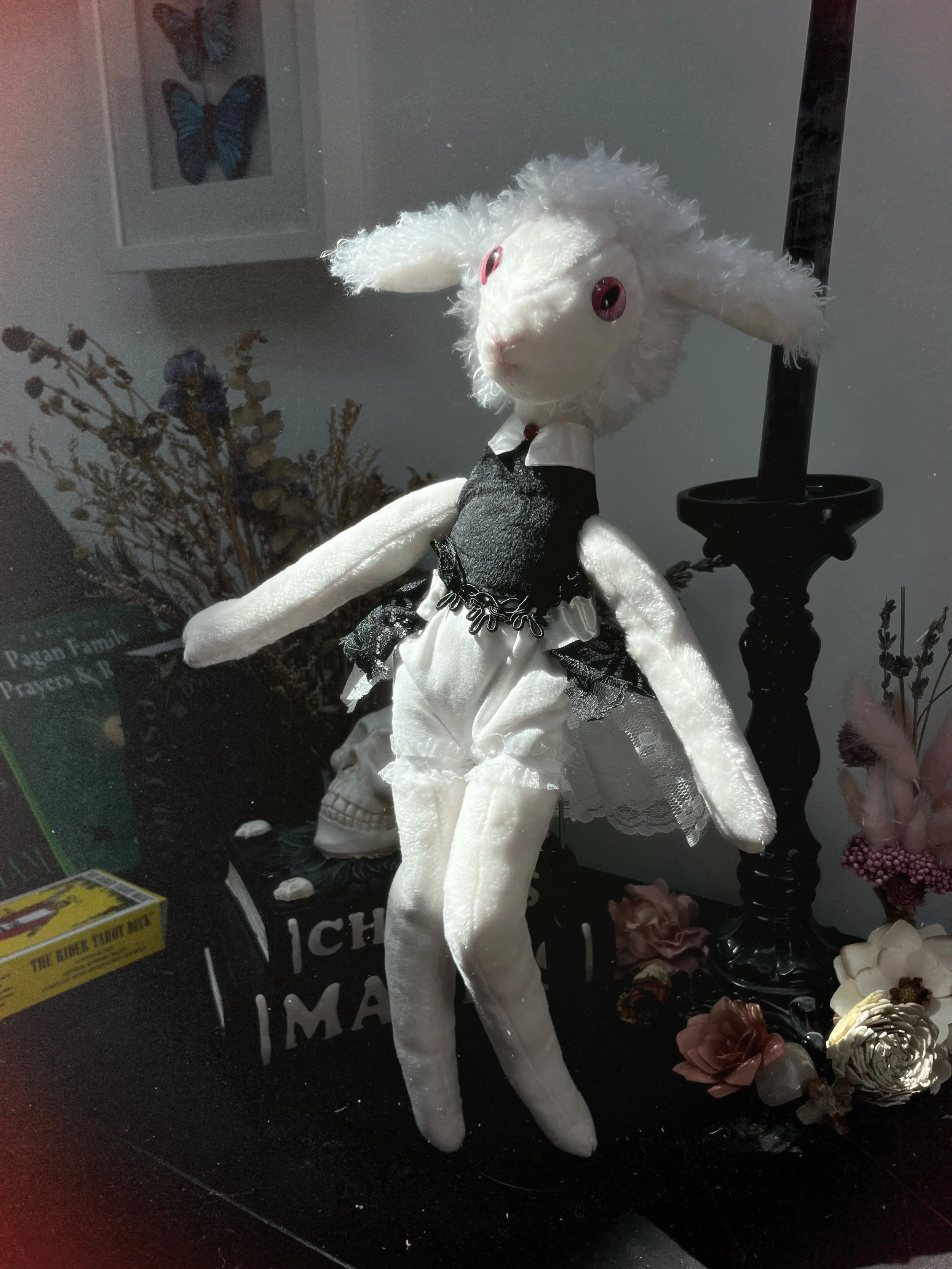 IMG_7239.jpeg