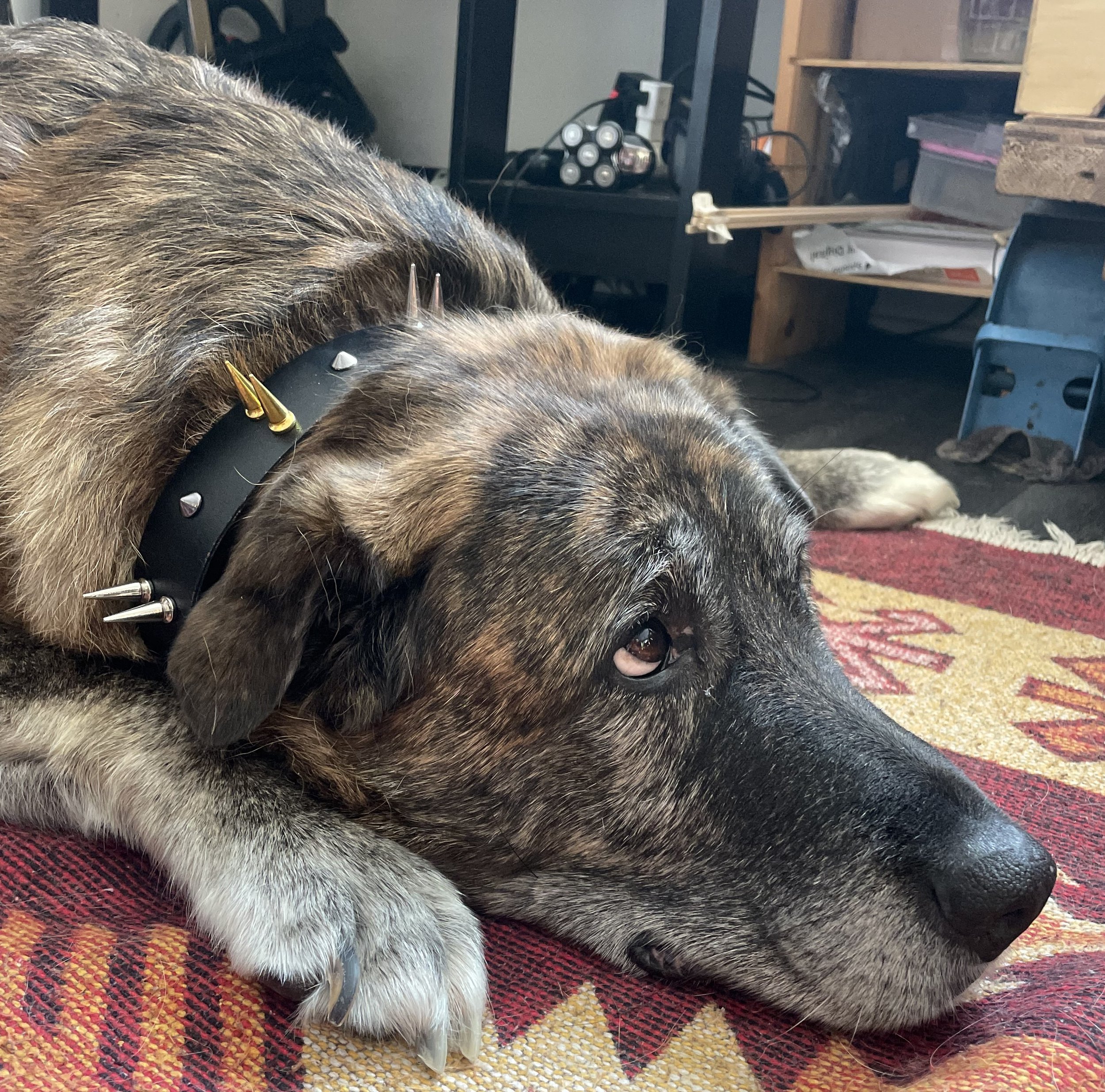 The Spyke Dyke 10.jpeg