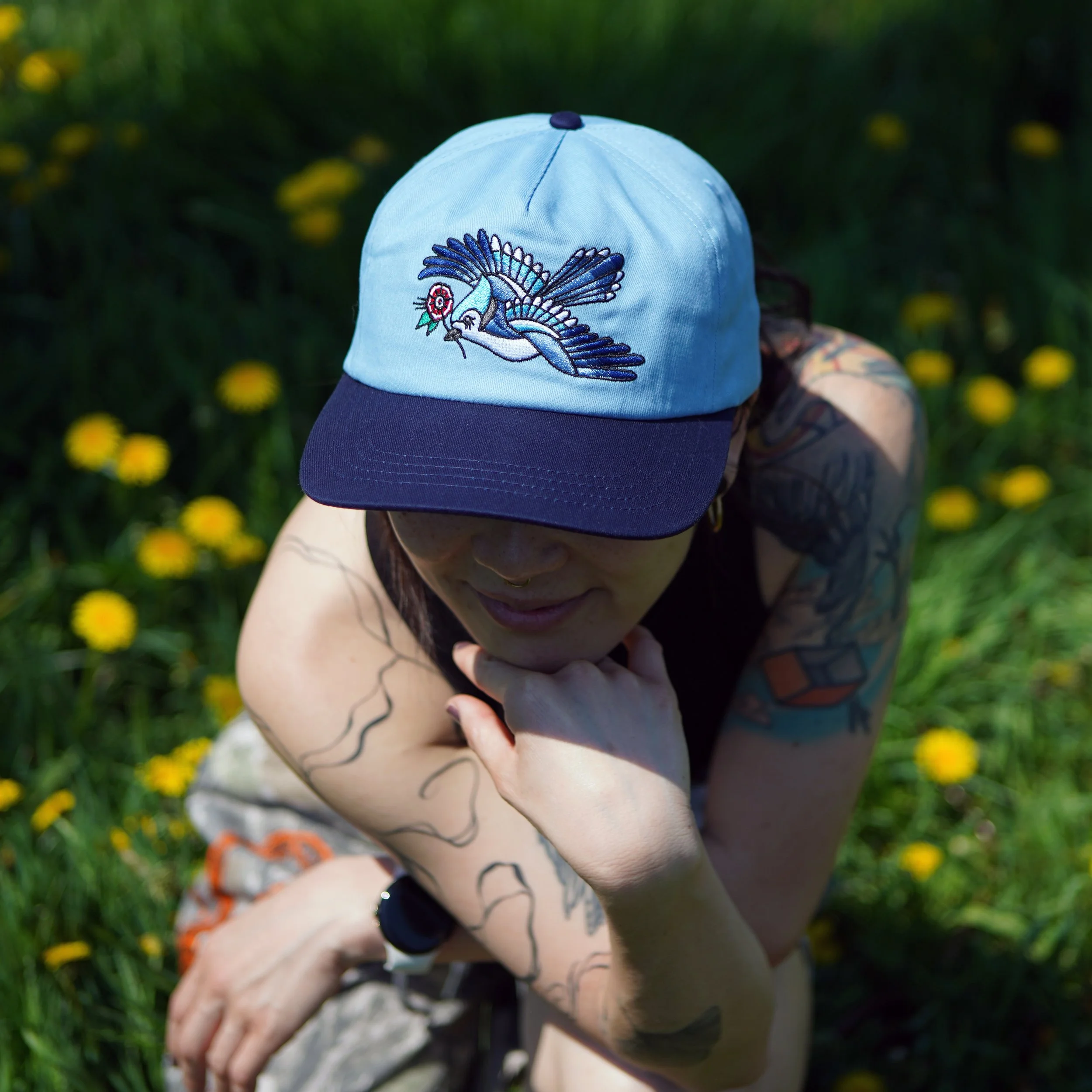 stuntin_bluejayunstructured.JPG