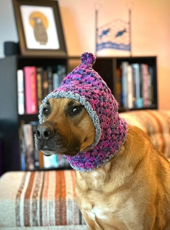 Shereensweirdwonderfuldogsweaters3.jpg