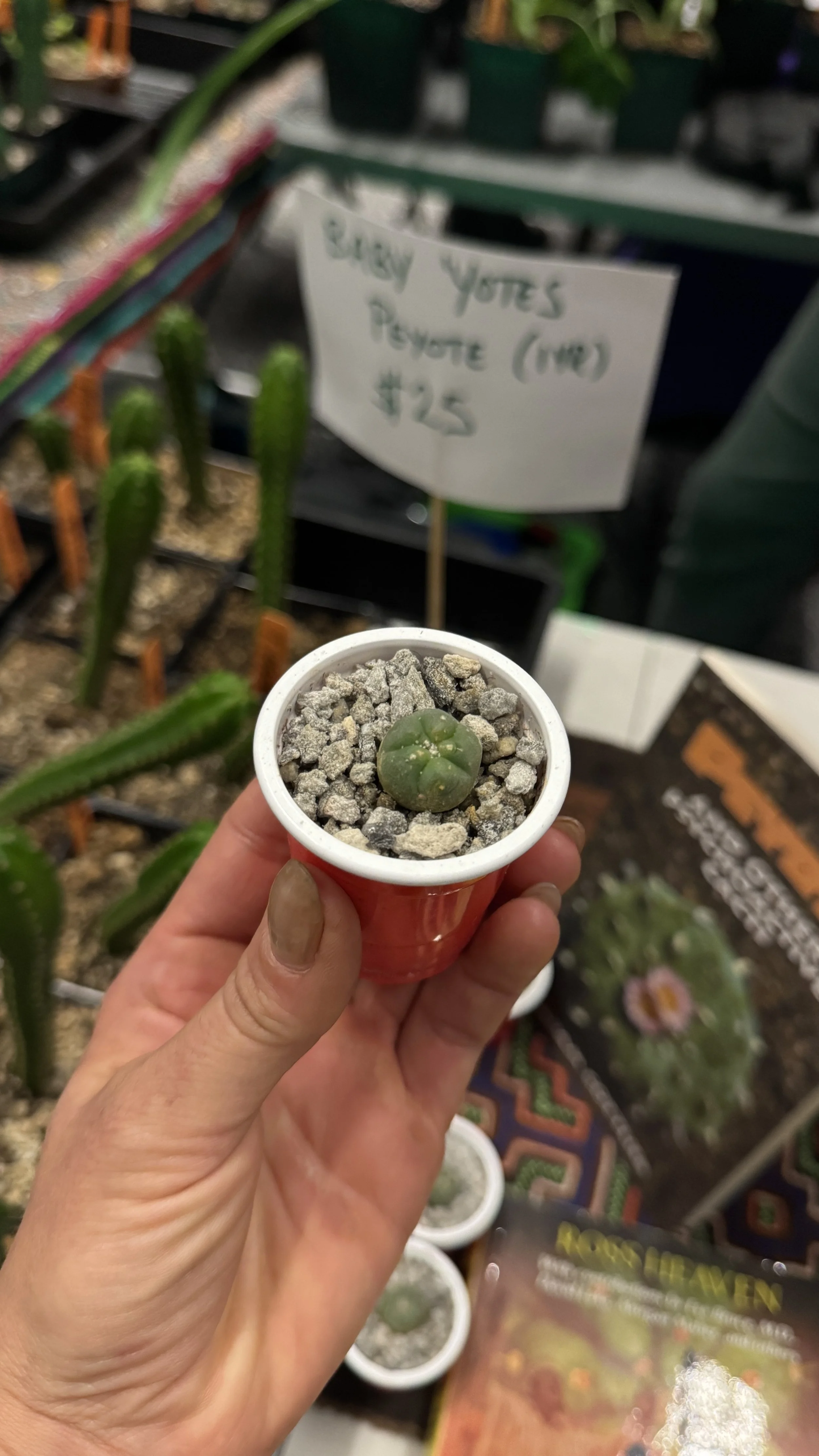 ATOM ALKALOID 4.JPEG