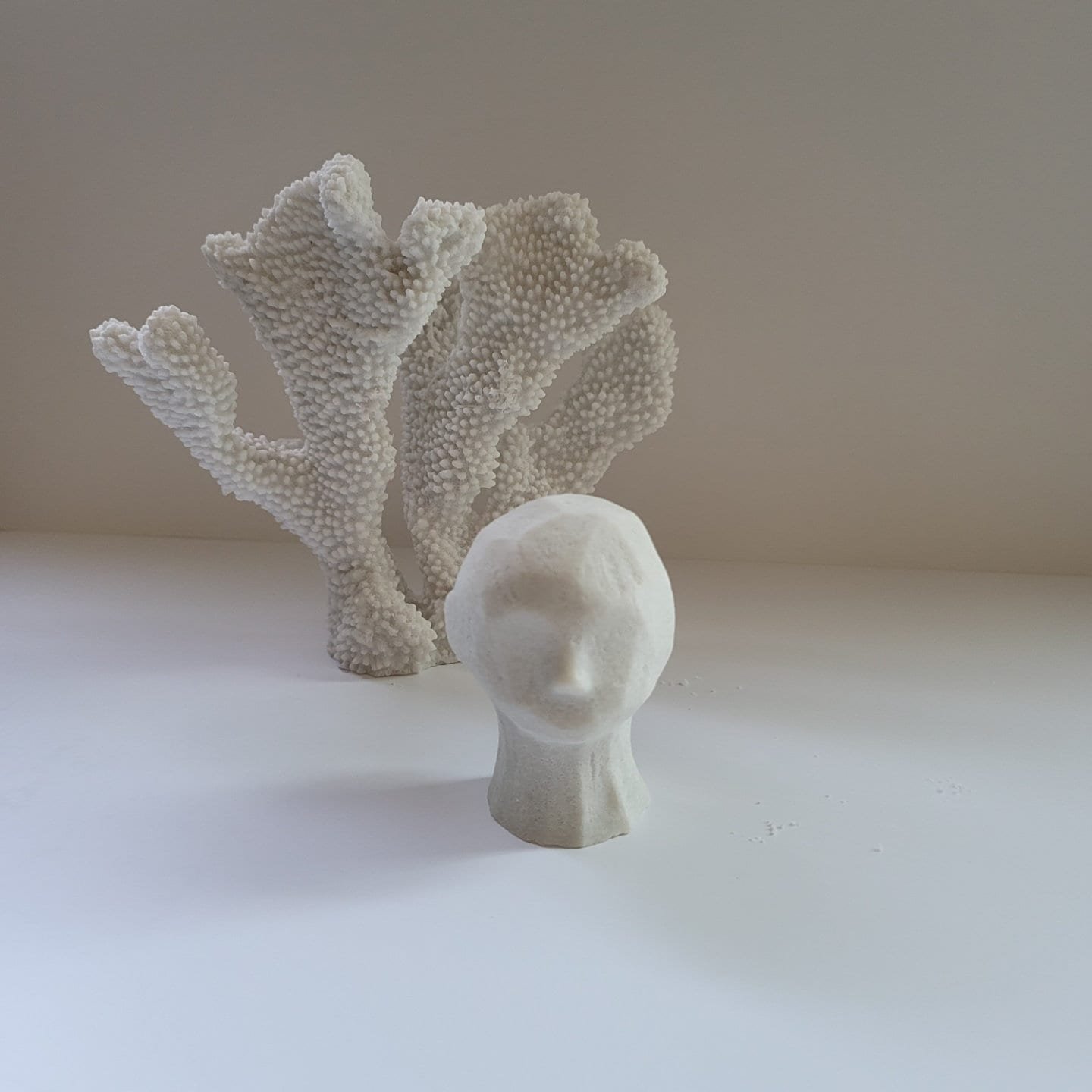https://i.etsystatic.com/24859501/r/il/450dfe/3837558134/il_fullxfull.3837558134_ajpq.jpg