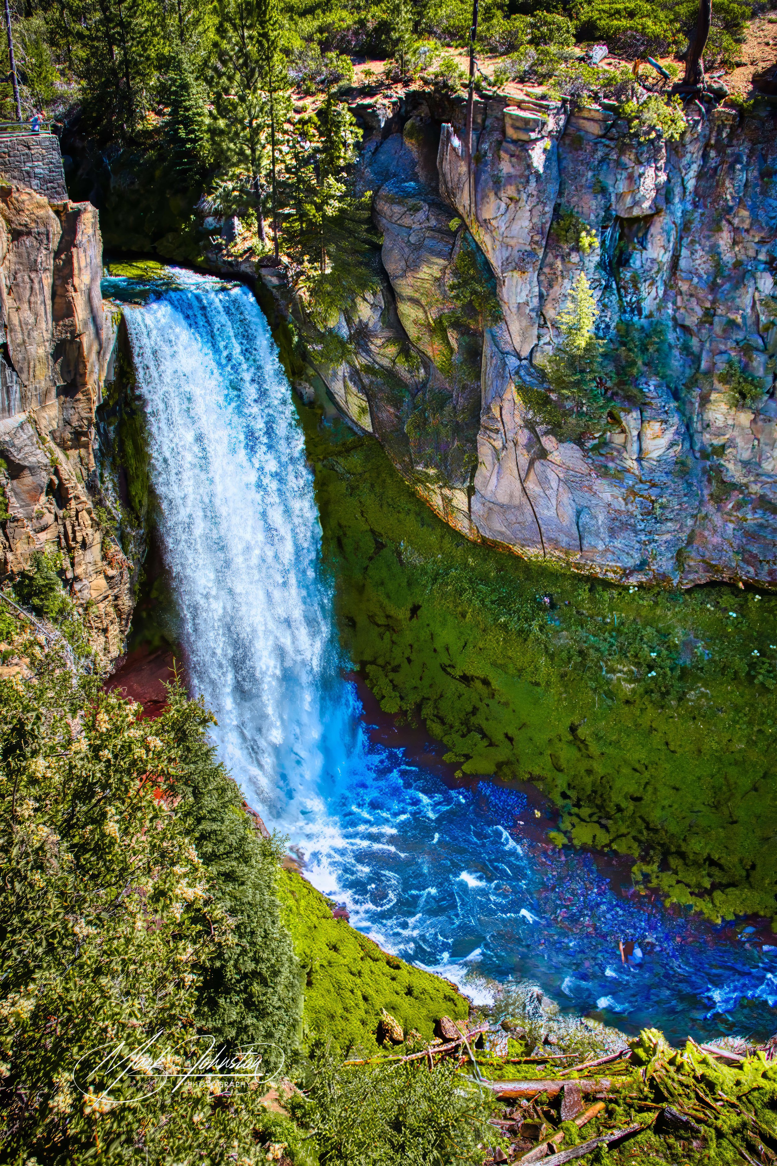 440A3289_N SIG 1A15-denoise-enhance-3x-sharpen.jpeg