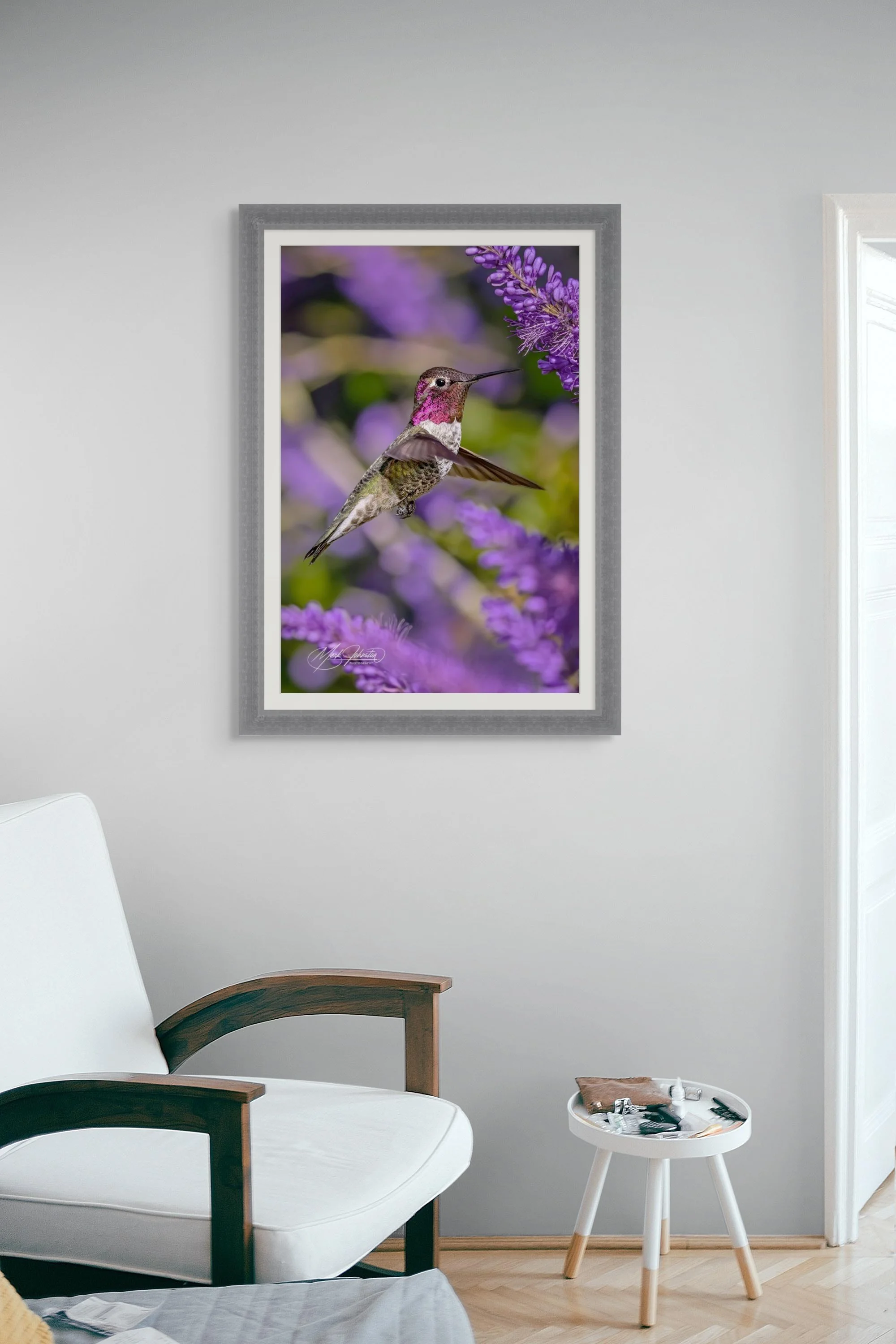 Purple Hummingbird