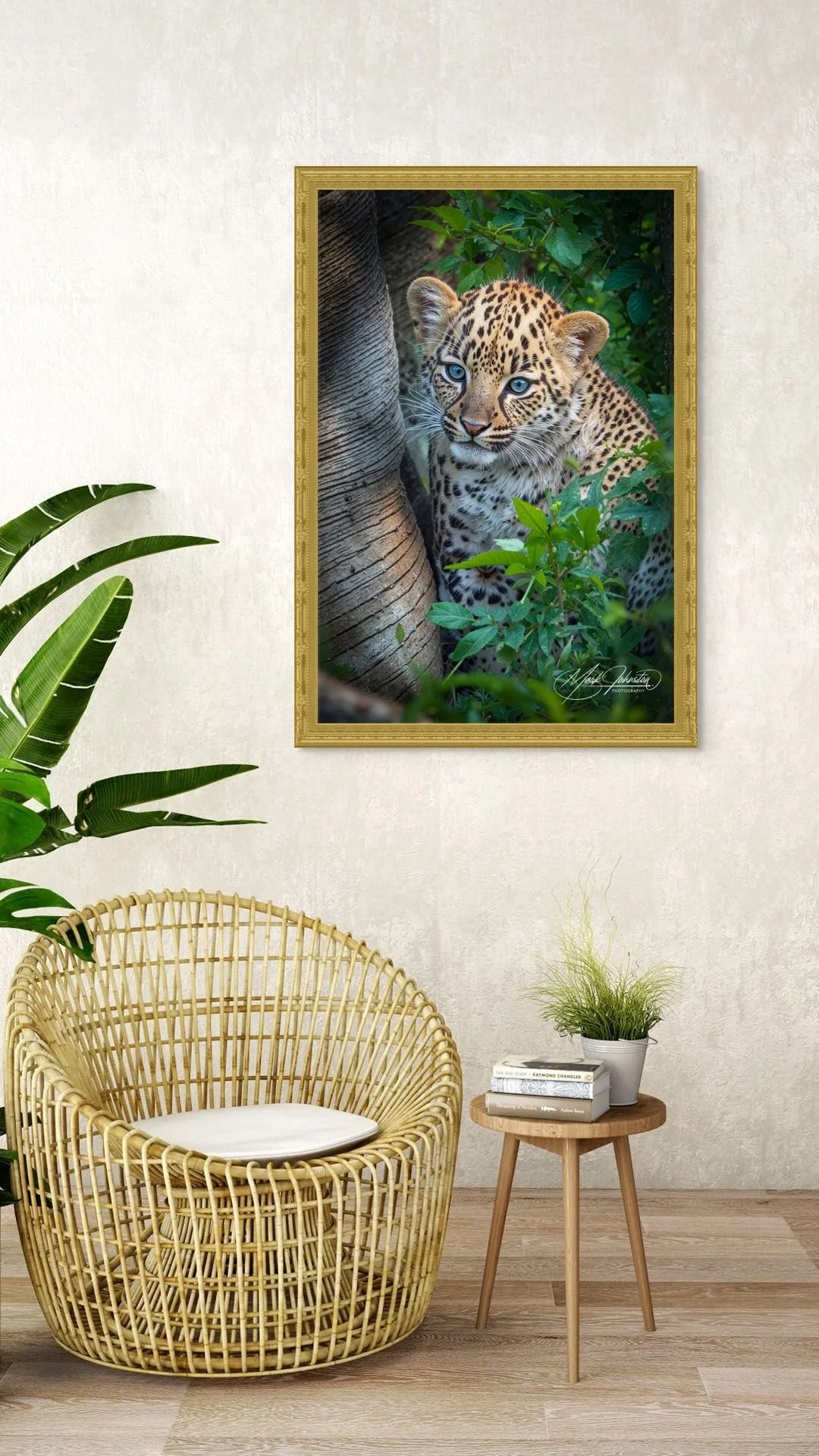 aaa8x12 n5--s-enhance-3x-sharpen siga43-enhance-3x-sharpen-full.jpg