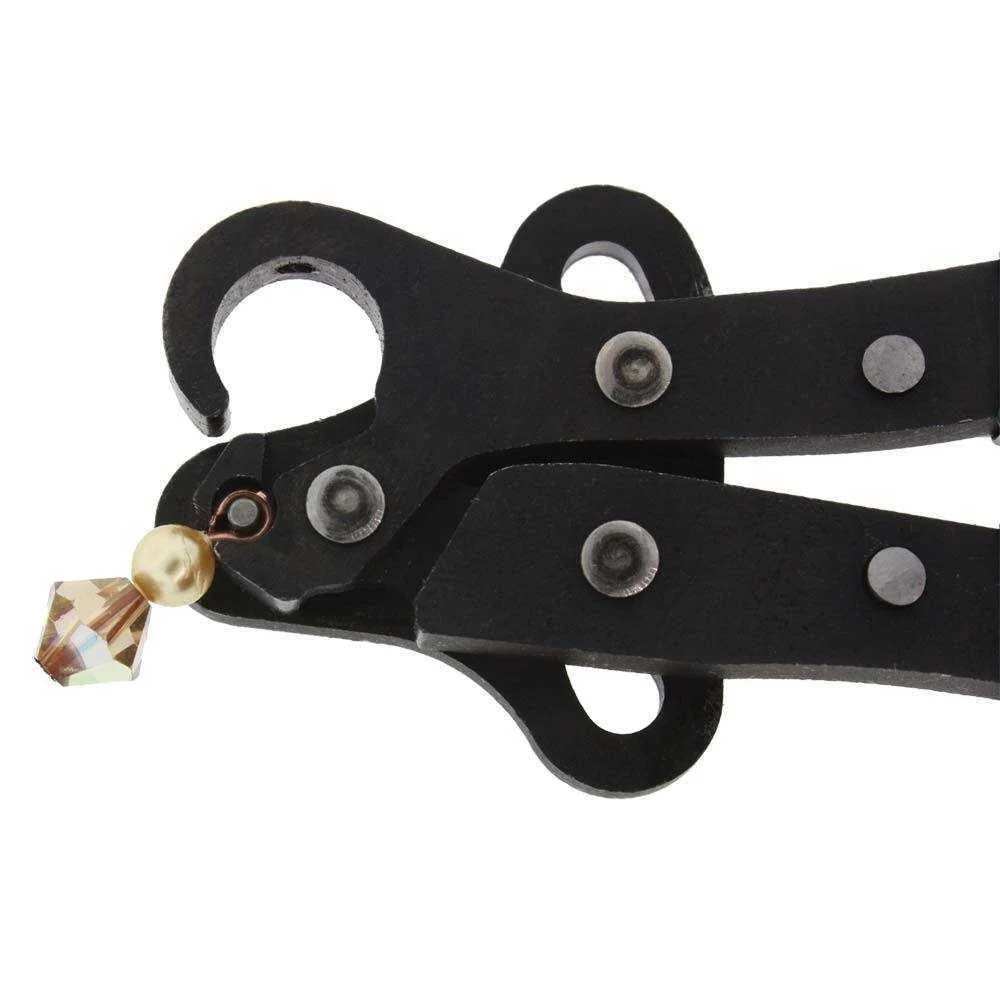 step looper pg.jpg
