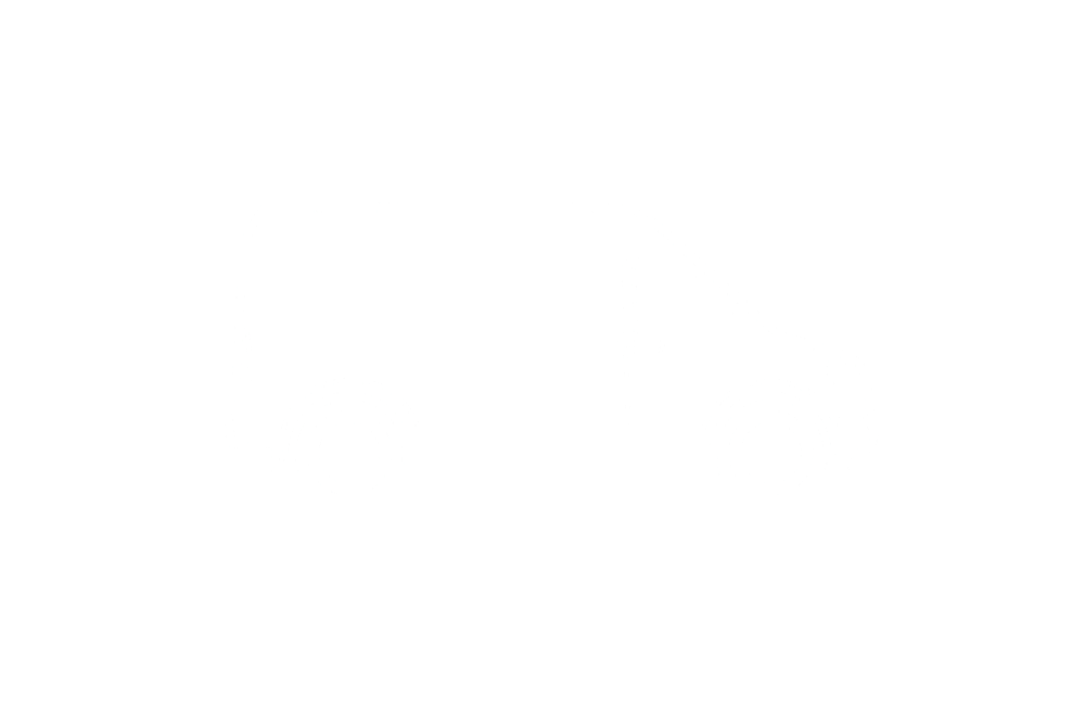 Next Chapter Camper Vans