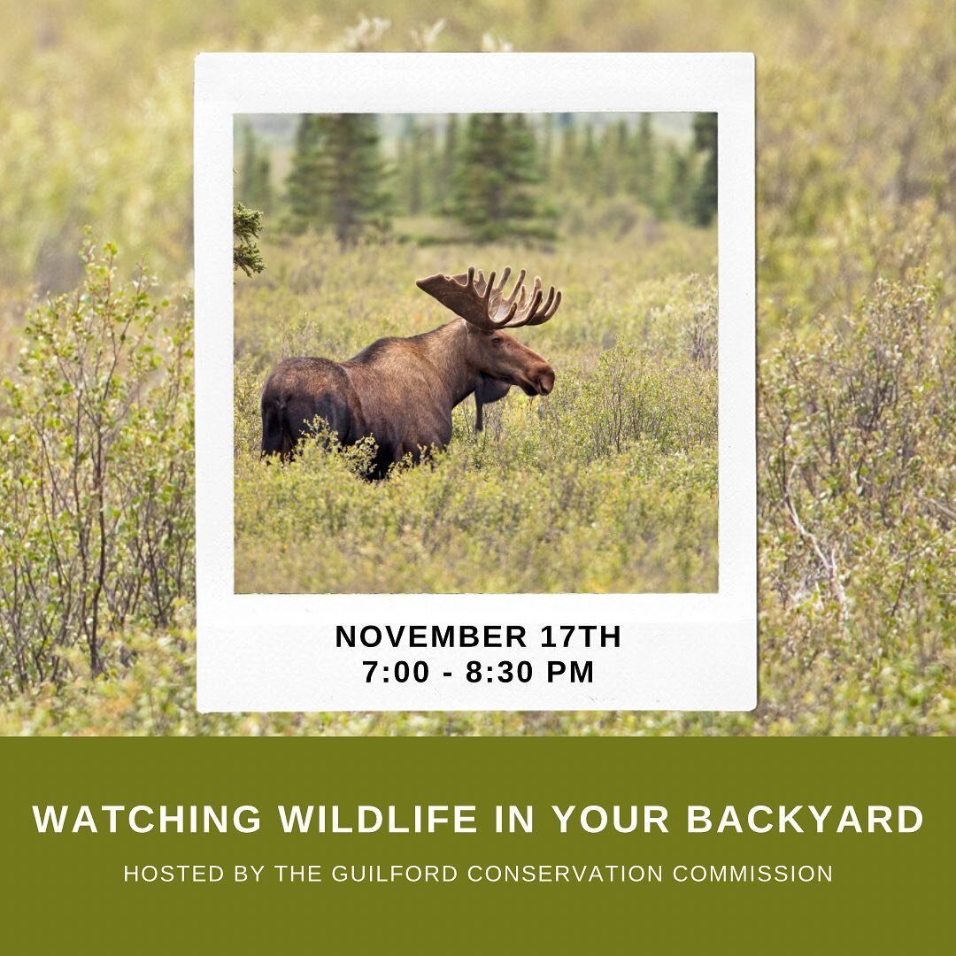 Some great events coming up at the BBCC! 

A trail cams workshop hosted by the conservation commission on November 17th, community thanksgiving on November 19th, and a beautiful holiday concert December 9th and 10th. Check out our website for more de