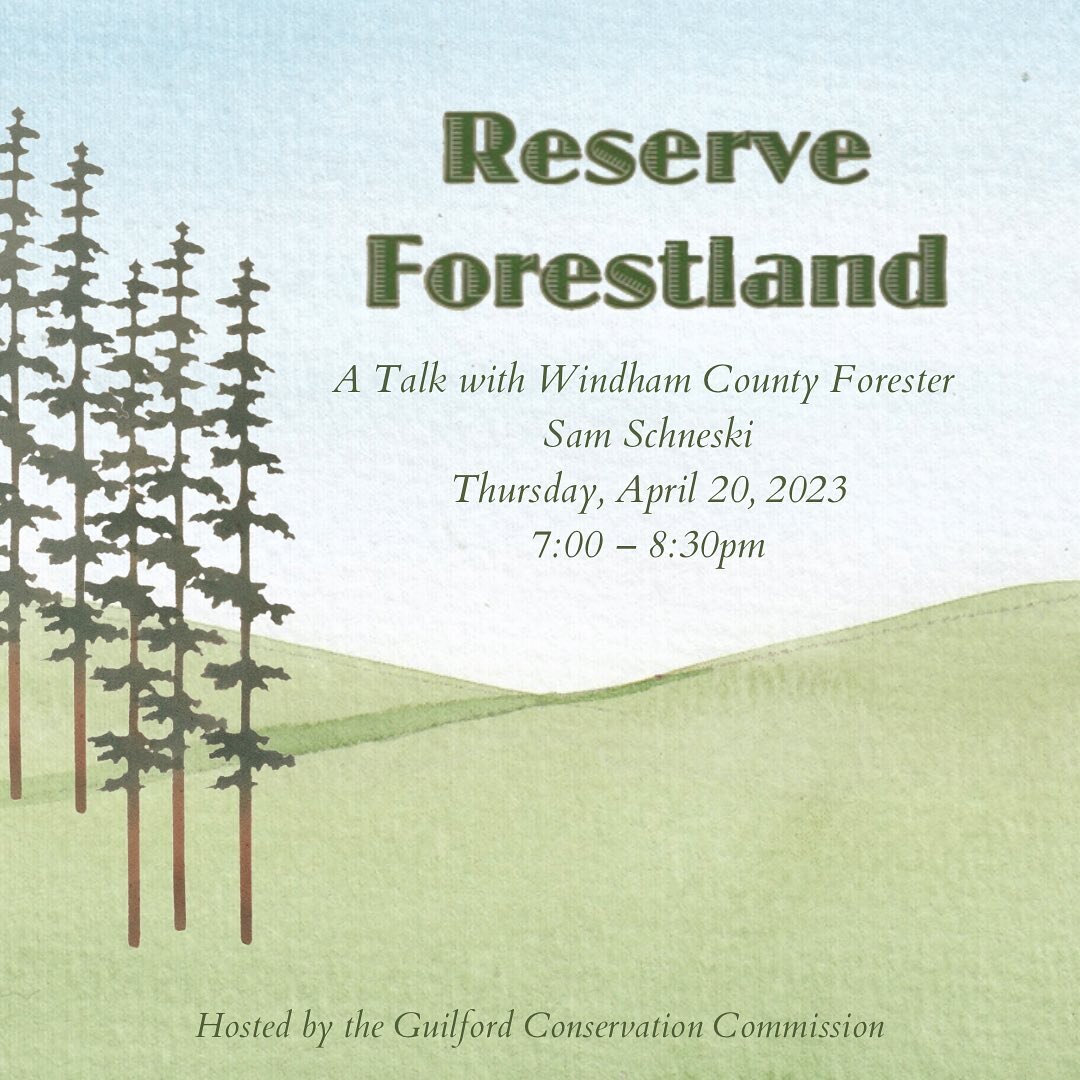 Happy earth week!!!

Some lovely chances to learn about nature, and get outside in the coming weeks!

April 20th stop by the BBCC for a talk with Windham County forester Sam Schneski! 

April 22 is Earth Day! And we will be doing spring clean up at t