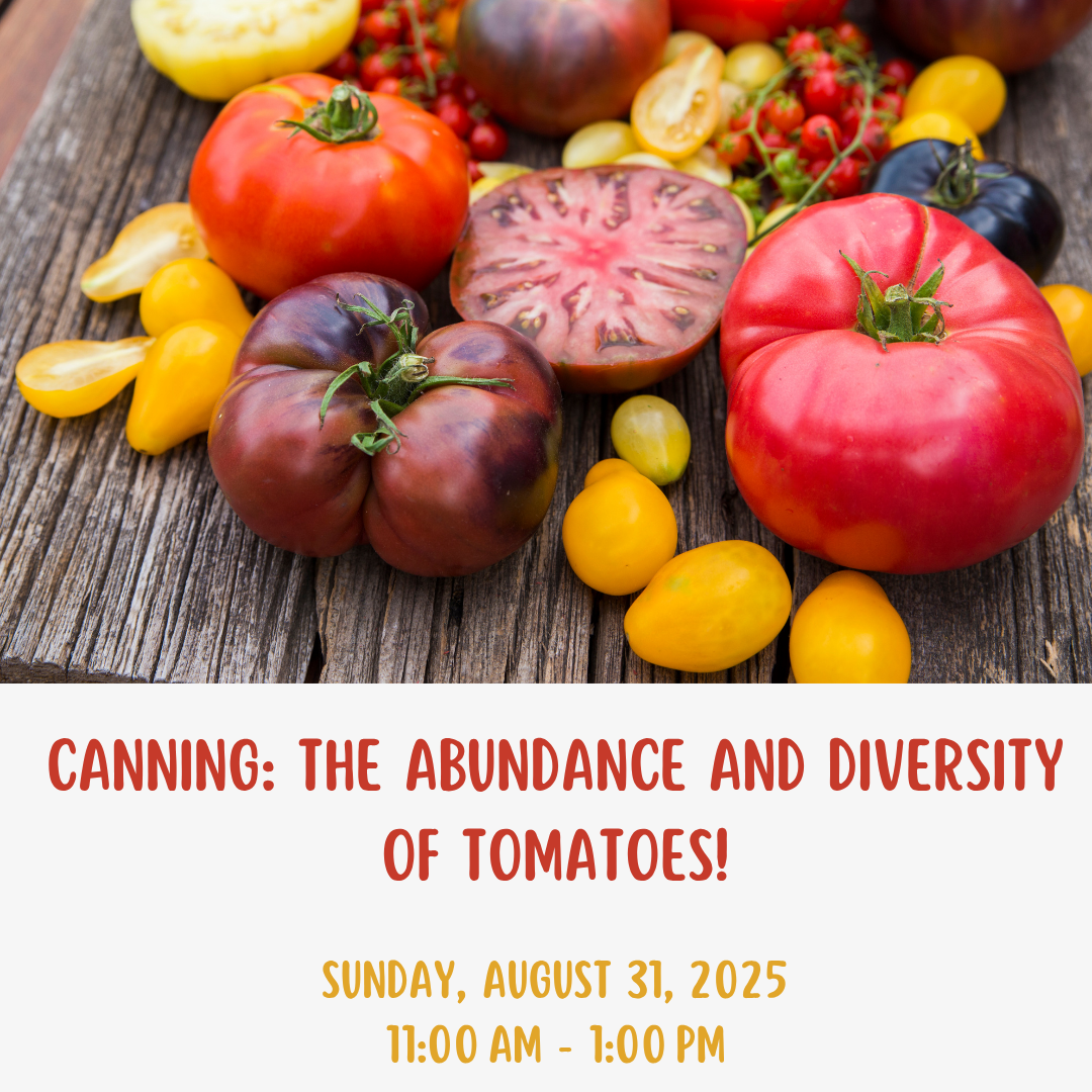 Canning: The Abundance and Diversity of Tomatoes